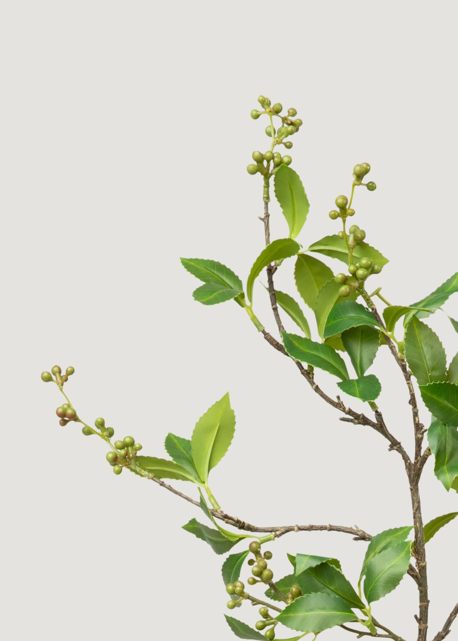 Green Chokeberry Artificial Berries Branch - 39
