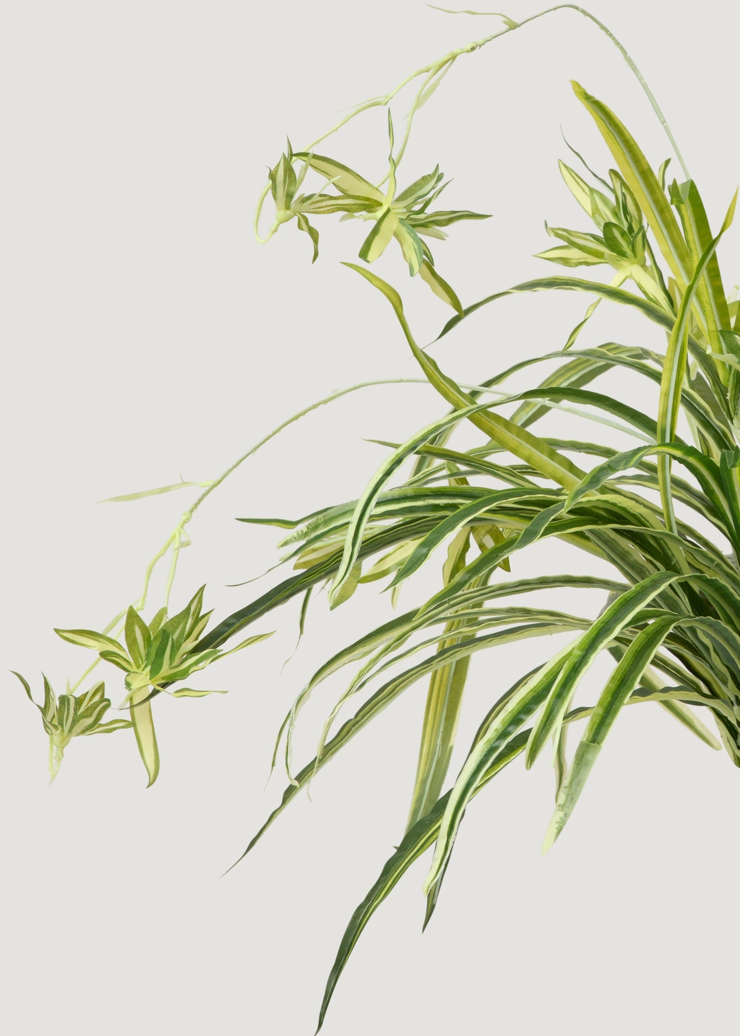 Natural Touch Fake Spider Plant - 32