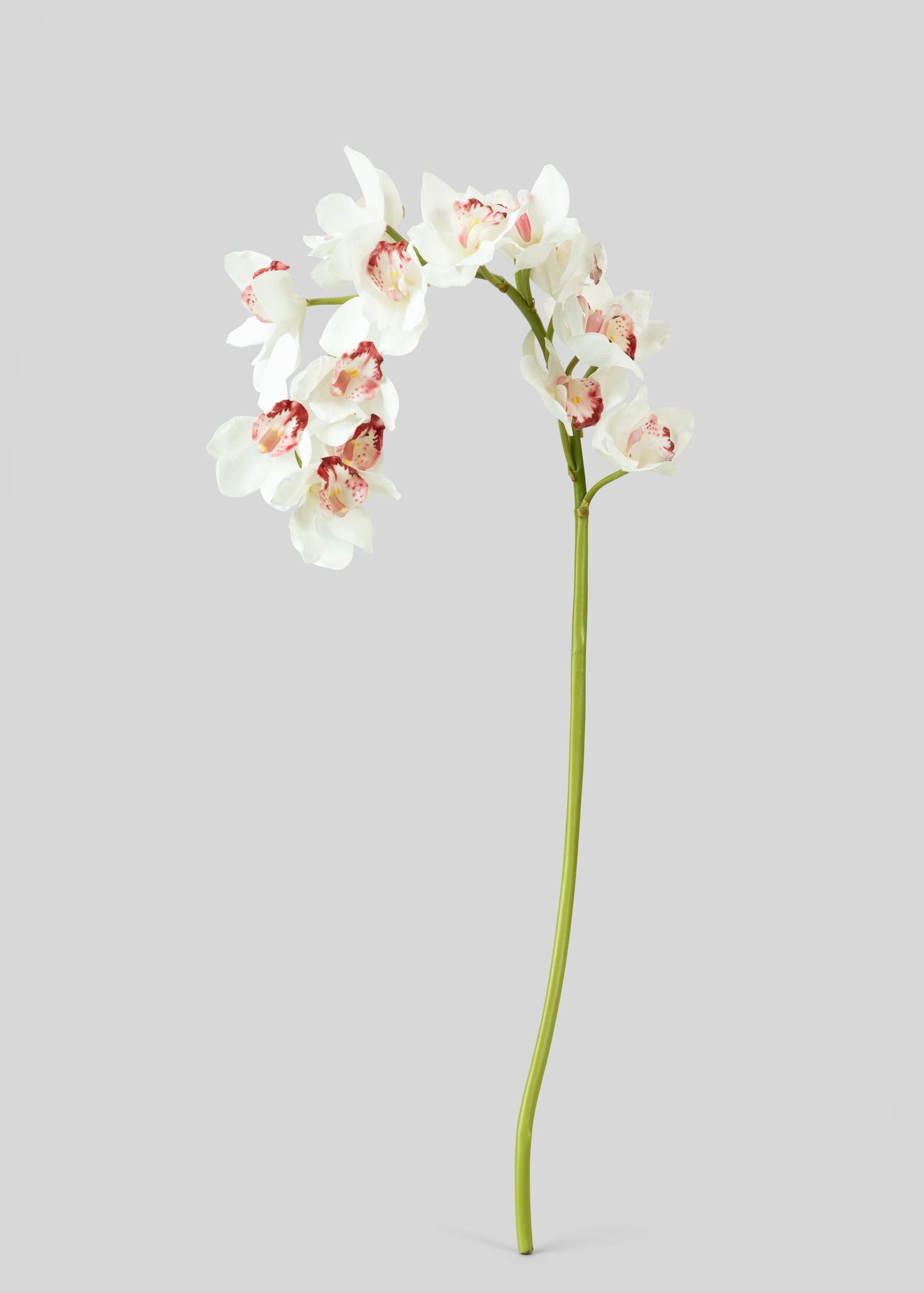 Large Natural Touch Cymbidium Orchid in White - 45