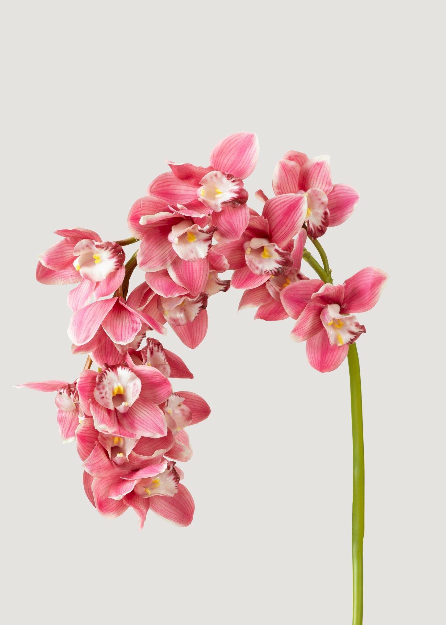 Pink Large Natural Touch Cymbidium Orchid - 45