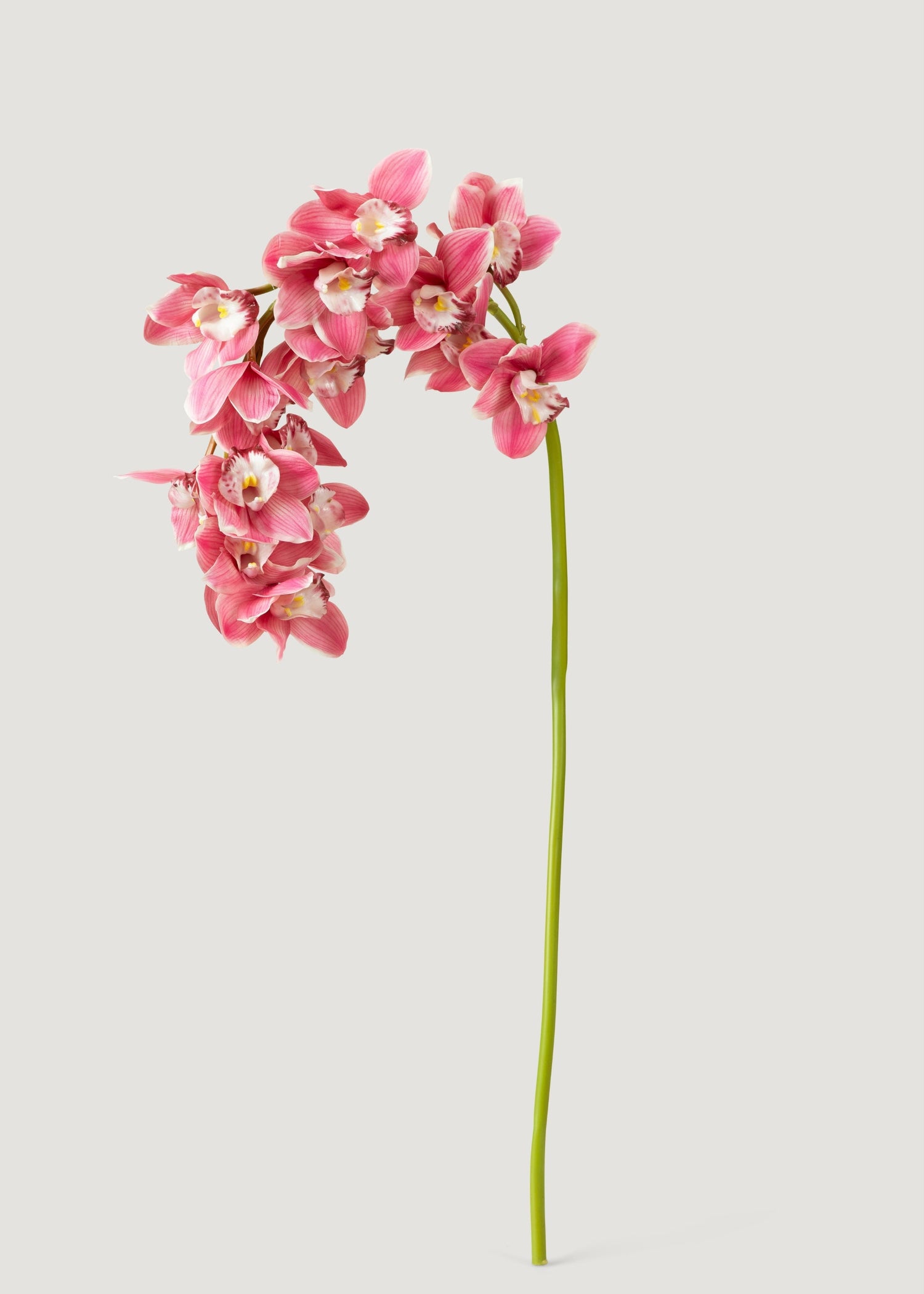 Pink Large Natural Touch Cymbidium Orchid - 45