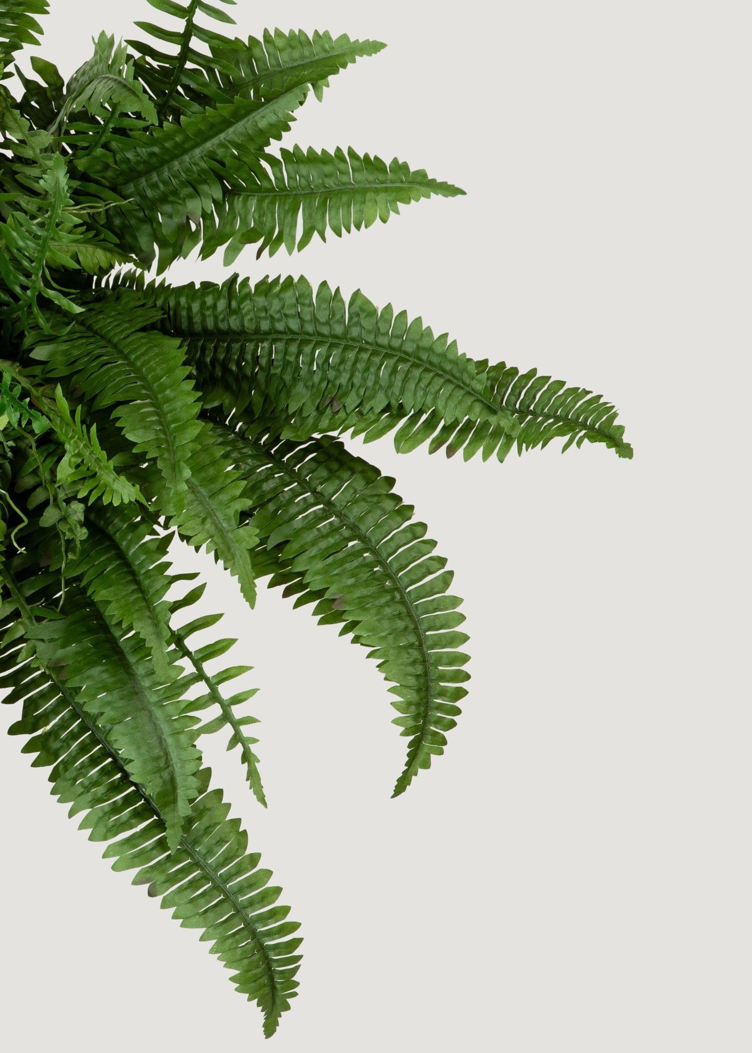 Large UV Resistant Outdoor Fake Boston Fern Plant - 38