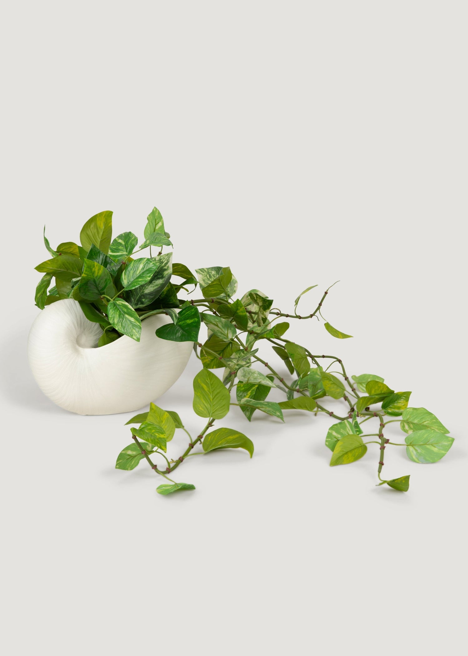 Natural Touch Variegated Pothos - Fake Hanging Plant - 27