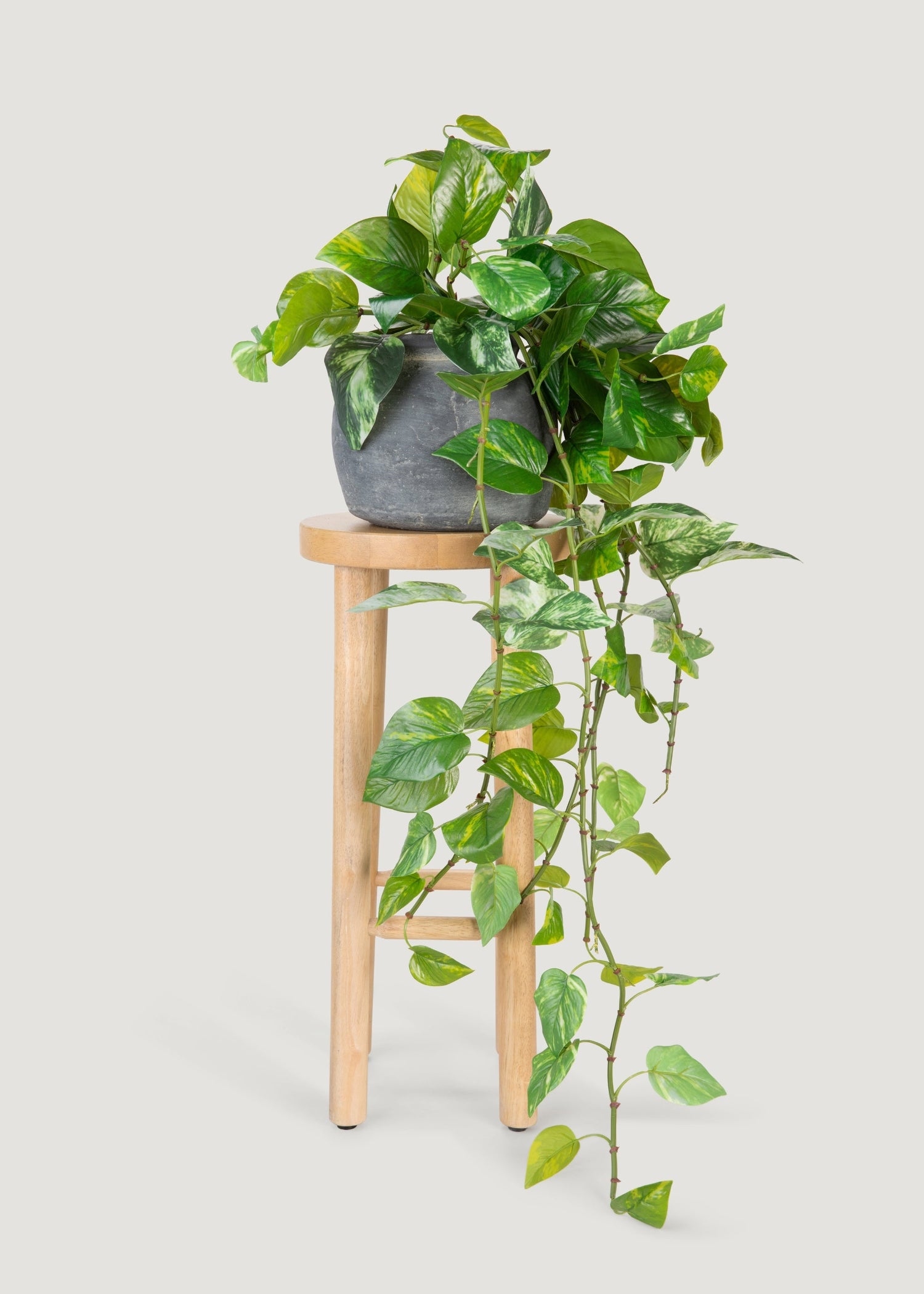 UV Treated Pothos Indoor/Outdoor Natural Touch Hanging Plant - 42