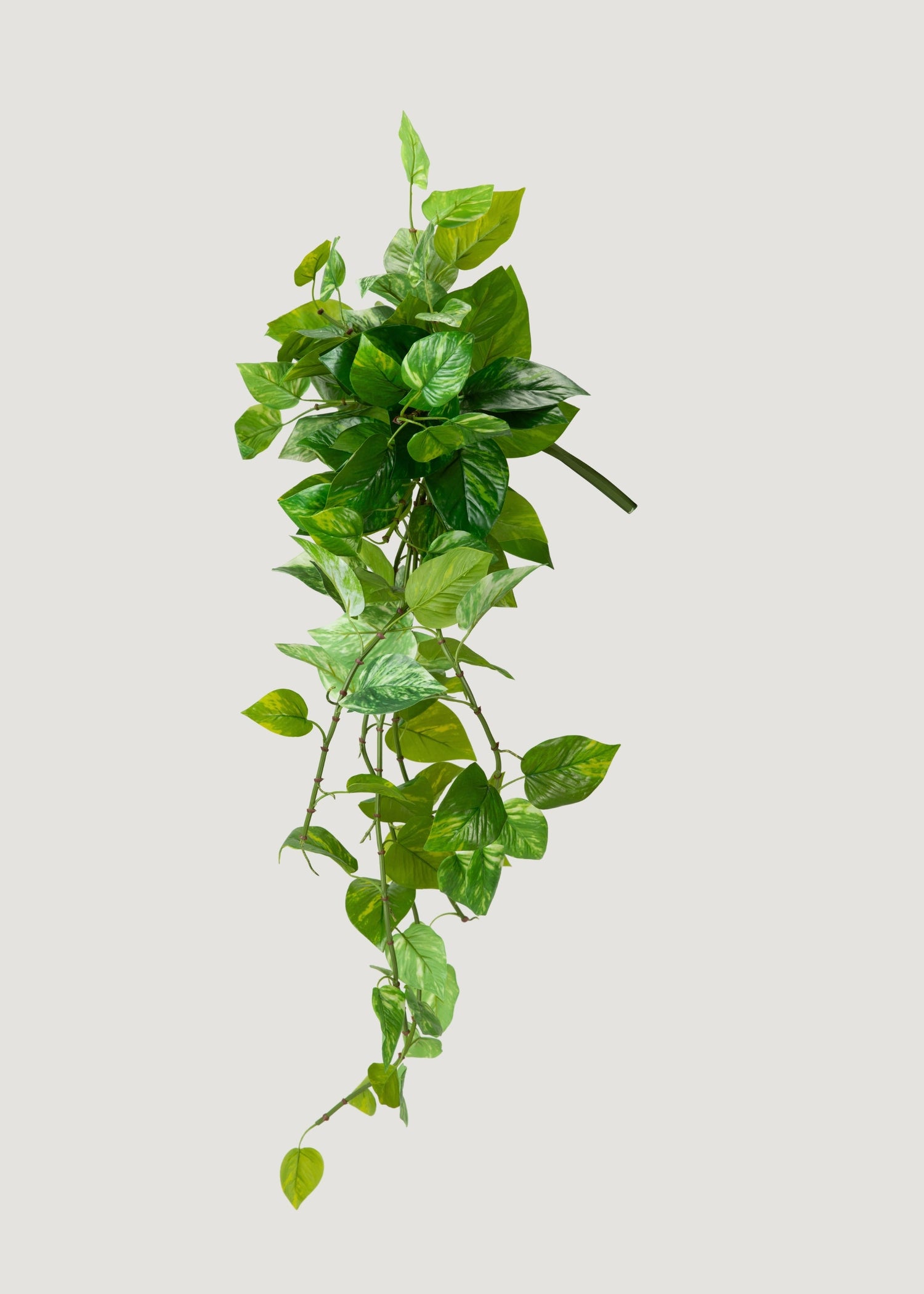 UV Treated Pothos Indoor/Outdoor Natural Touch Hanging Plant - 42