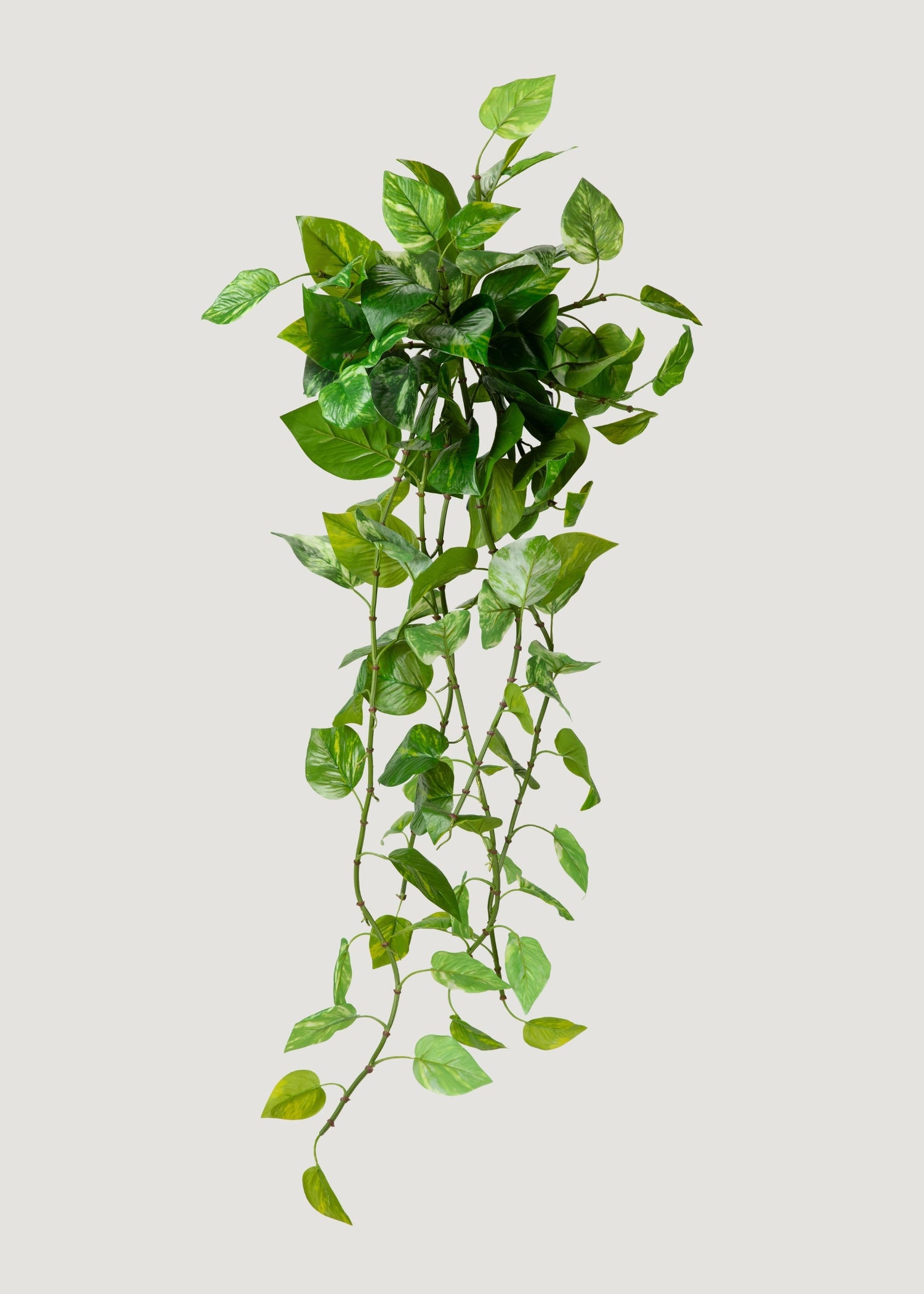 UV Treated Pothos Indoor/Outdoor Natural Touch Hanging Plant - 42