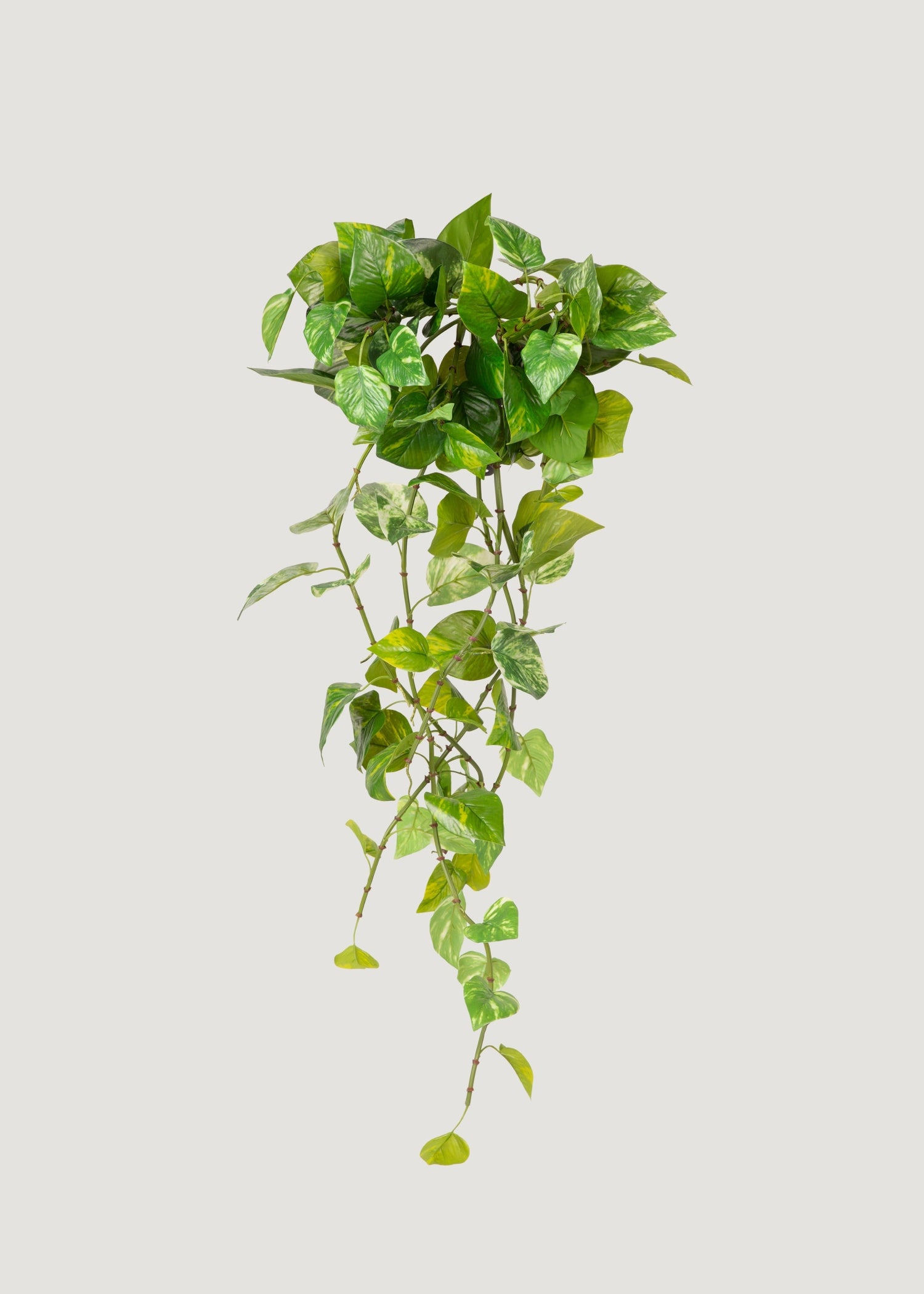 Natural Touch Variegated Pothos - Fake Hanging Plant - 27
