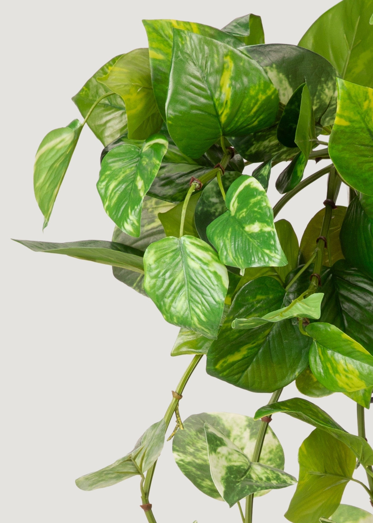 Natural Touch Variegated Pothos - Fake Hanging Plant - 27