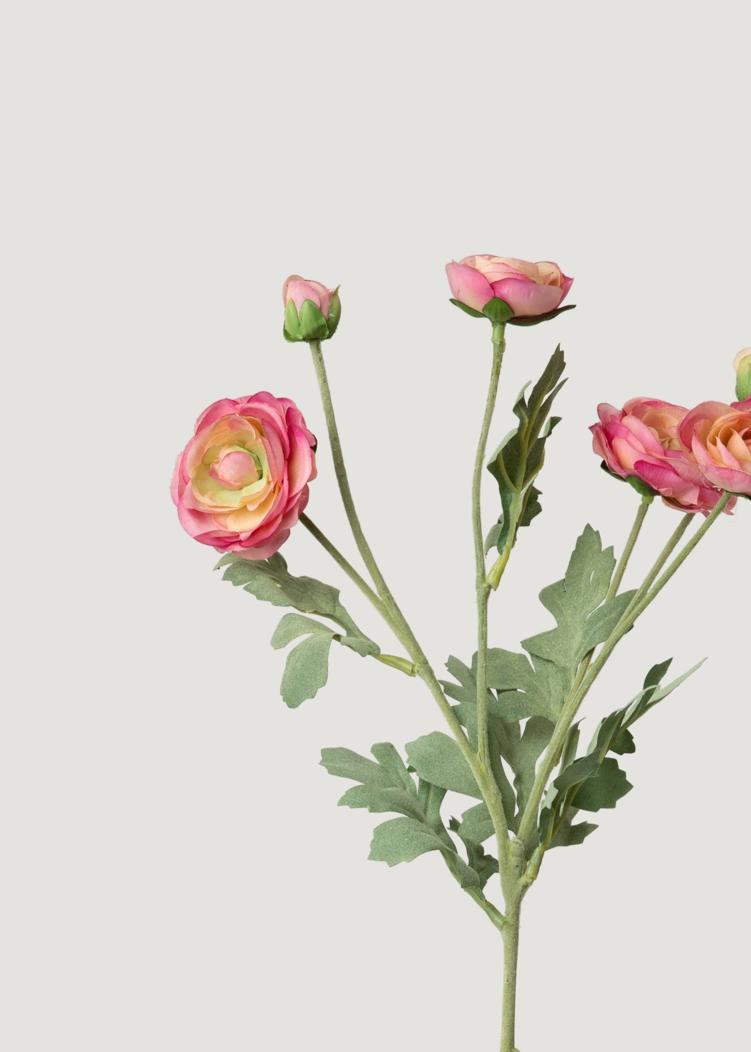 Ranunculus Fake Flowers in Pink - 26