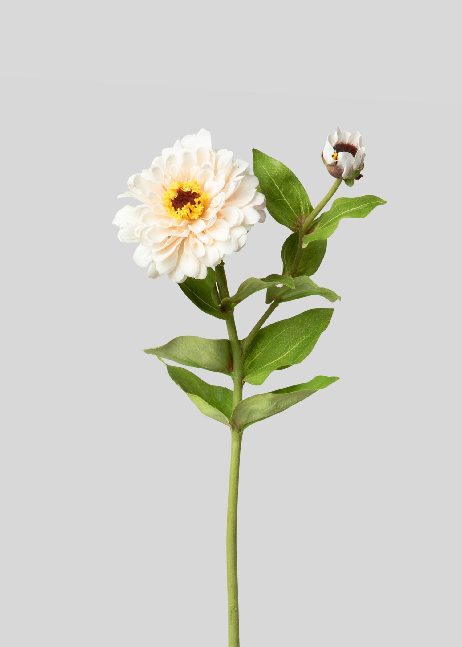 Cream Zinnia Real Touch Fake Flower - 24.5