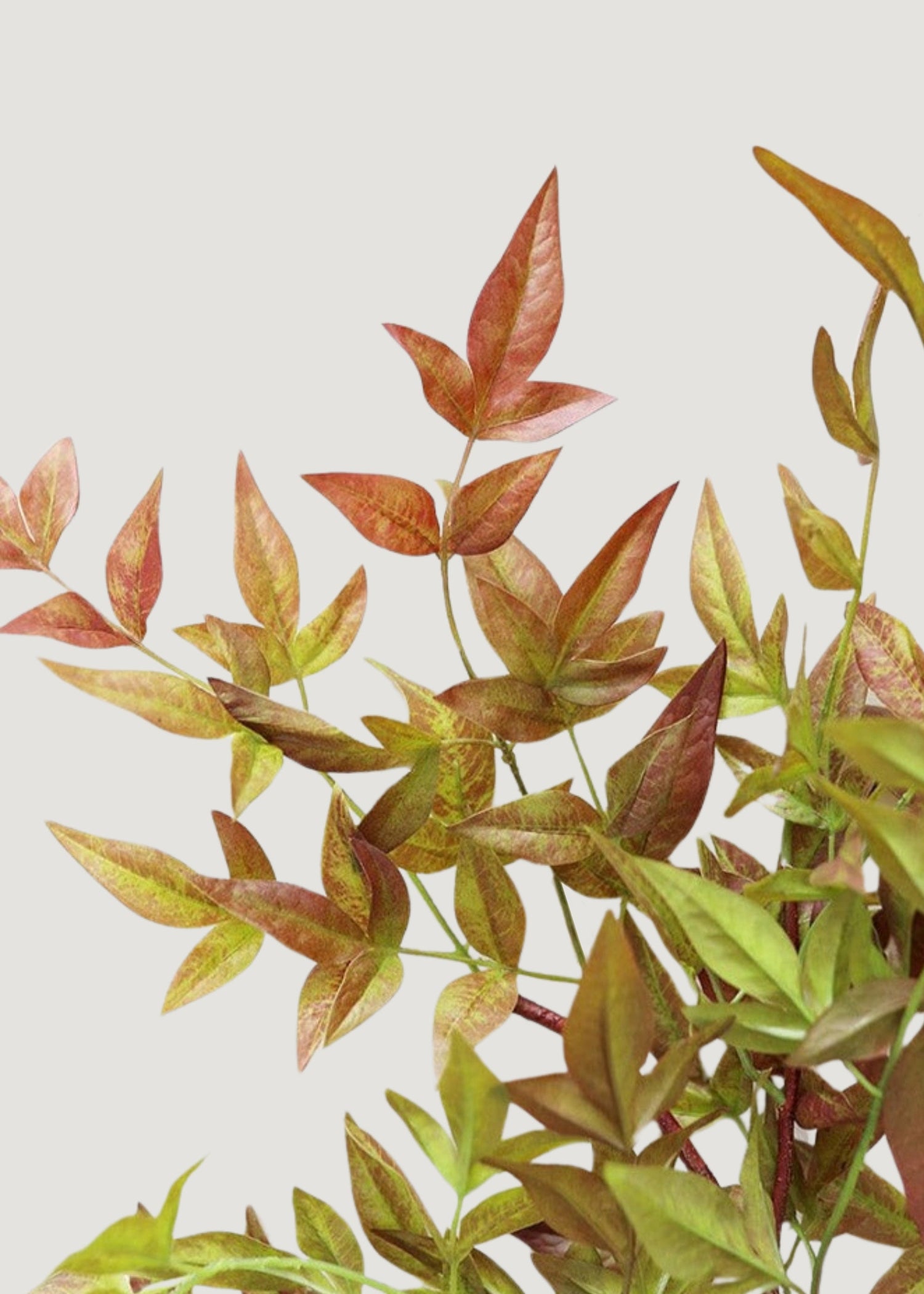 Artificial Nandina Leaf Branch - 39