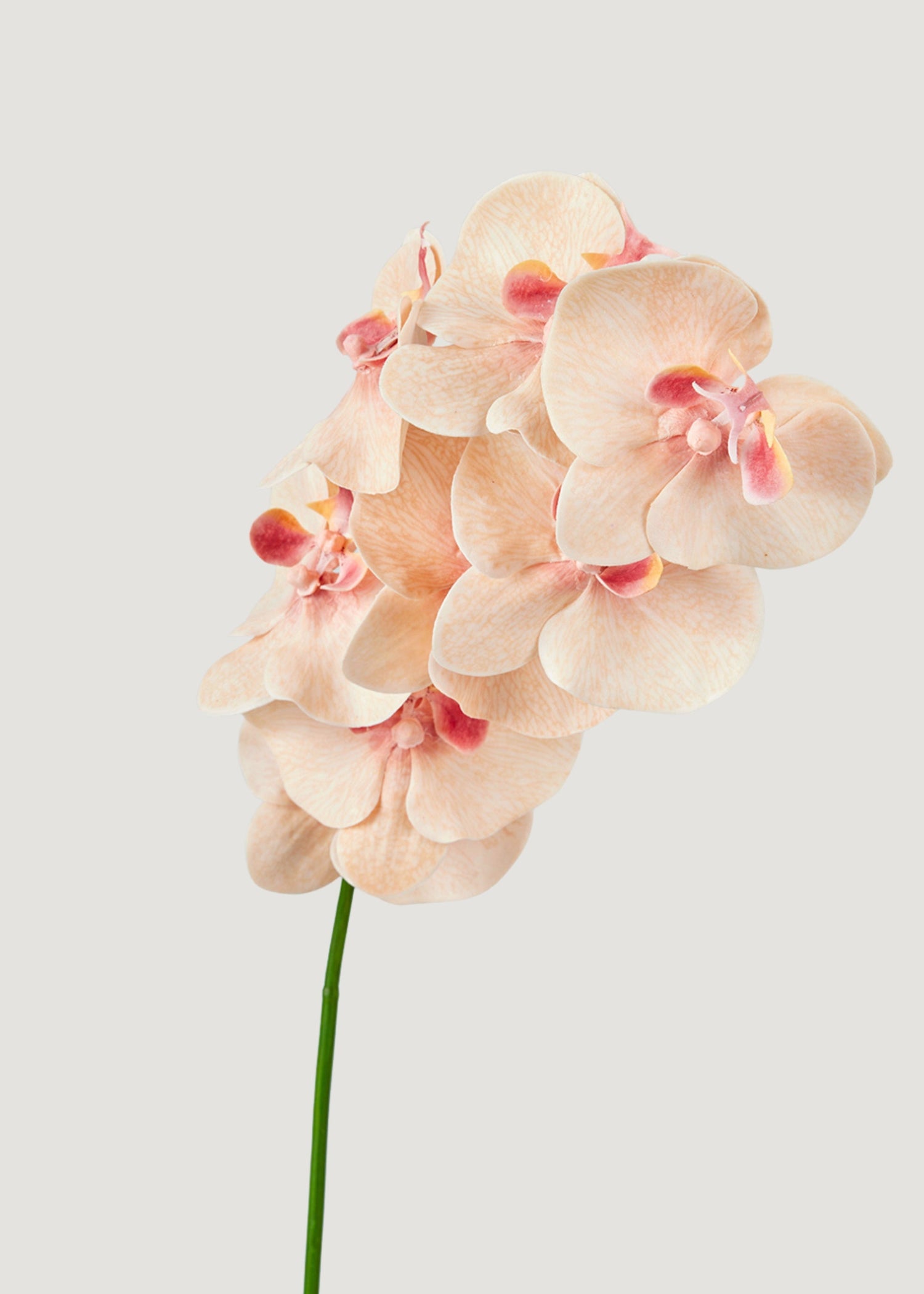 Fake Blooming Phalaenopsis Orchids in Peach Pink - 40