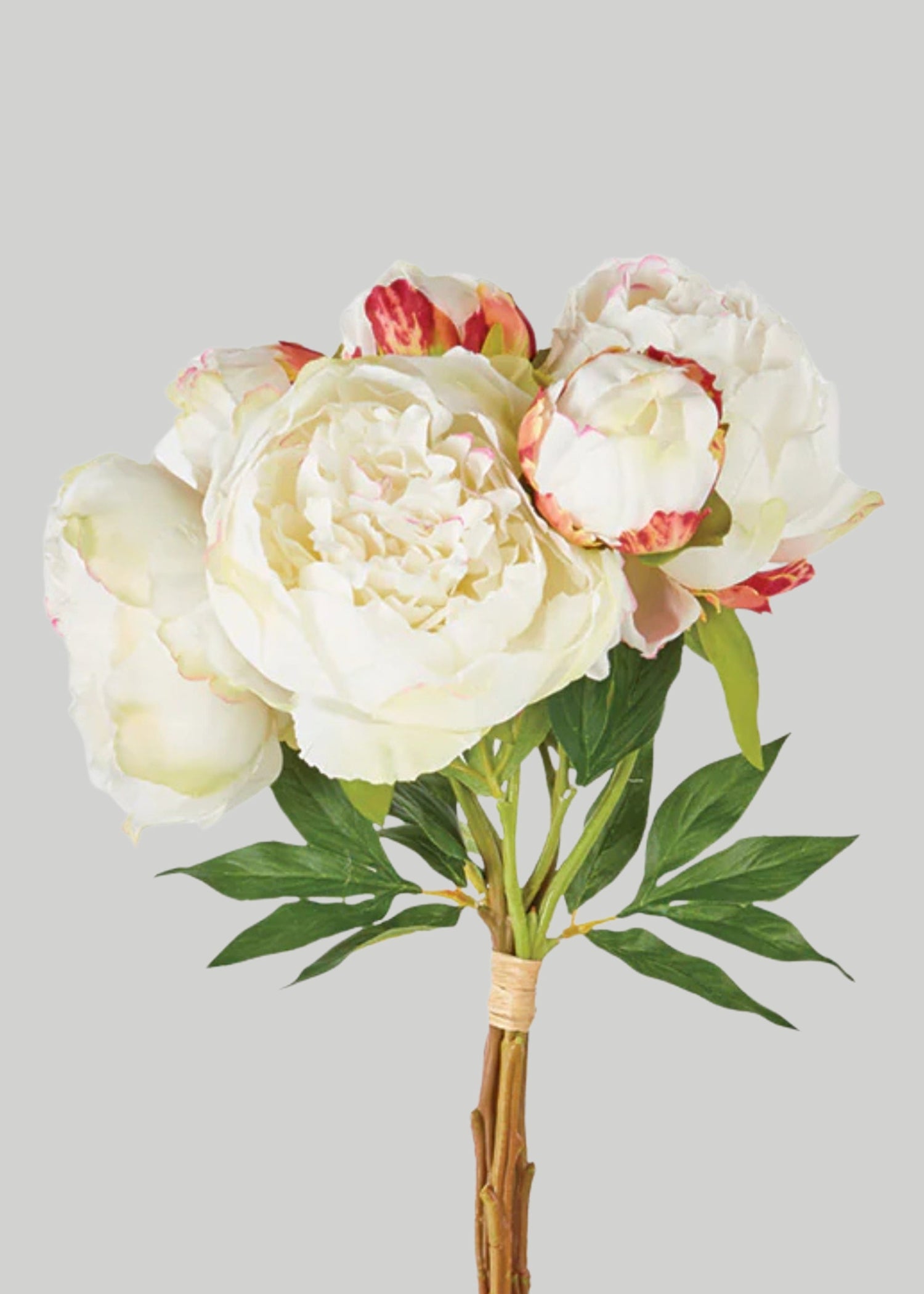 Cream Peony Faux Flower Bundle of Peonies - 21