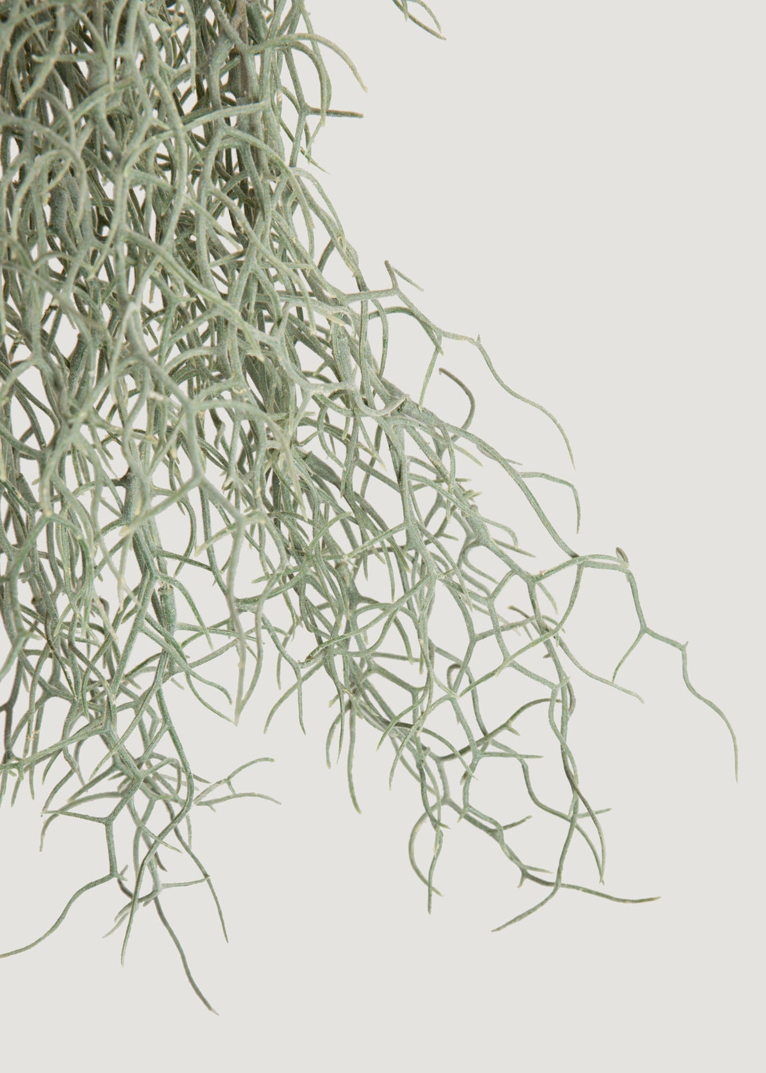 Abigail Ahern Artificial Grass Bush - 26