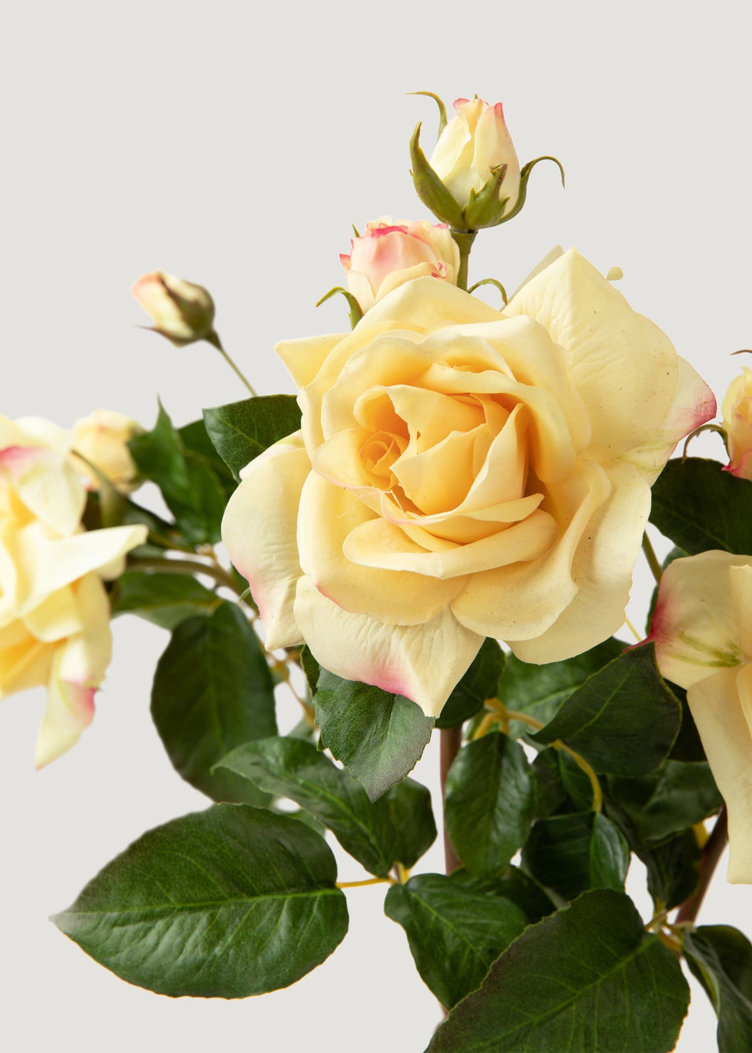 Artificial Real Touch Juliet English Rose in Yellow - 22