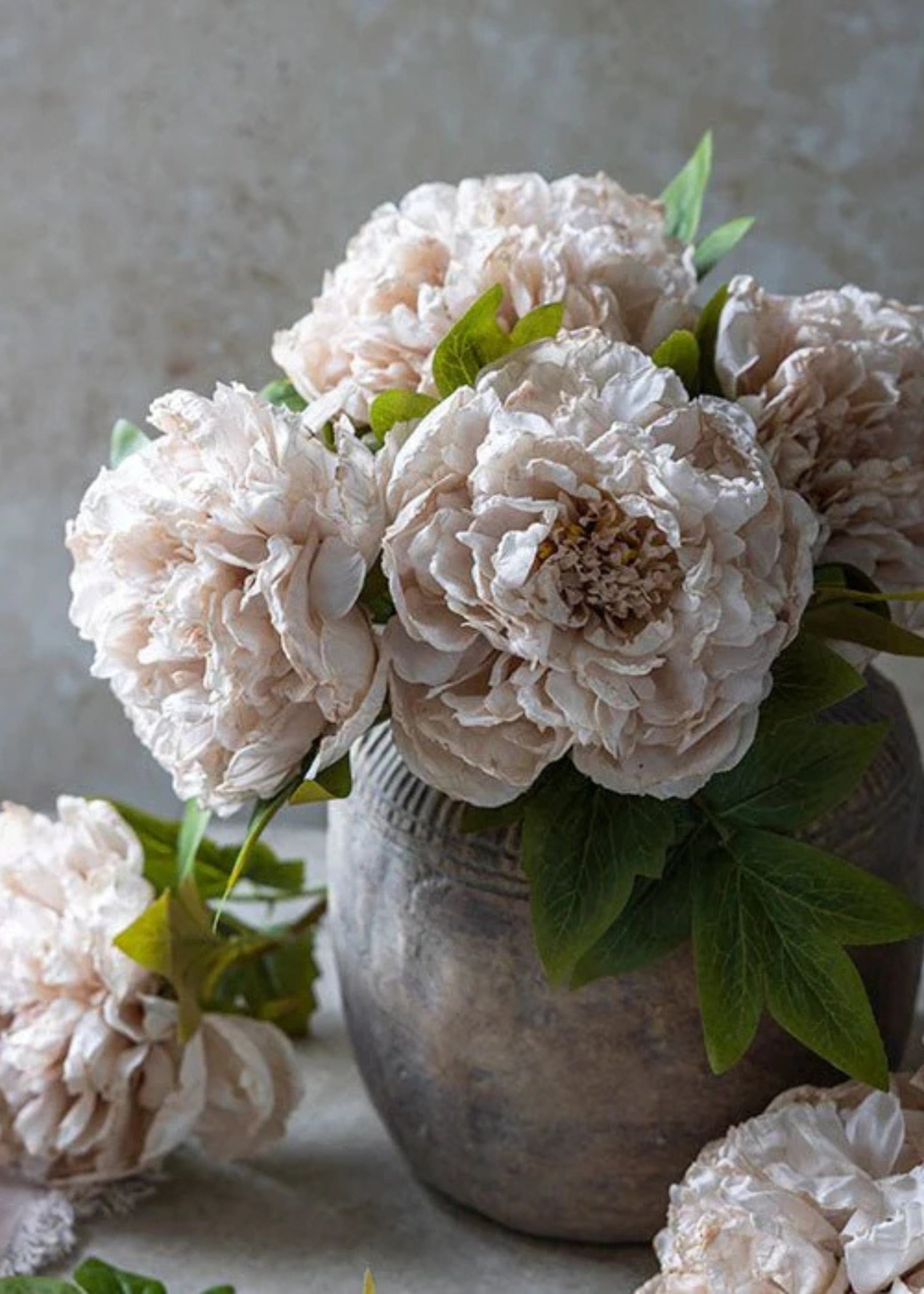 Abigail Ahern Beige Blush Artificial Peony Flower - 17.5