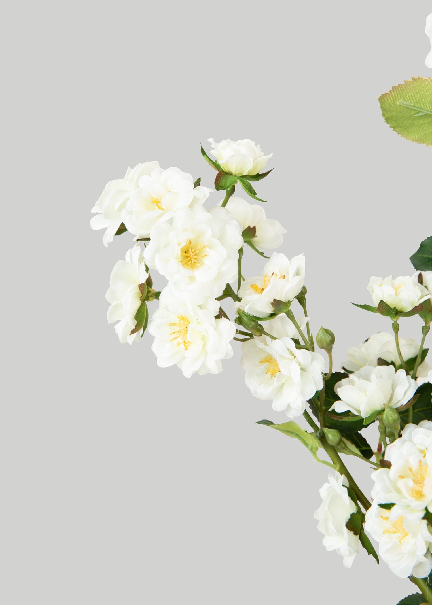 Climbing Fake Roses Branch in Cream White - 33