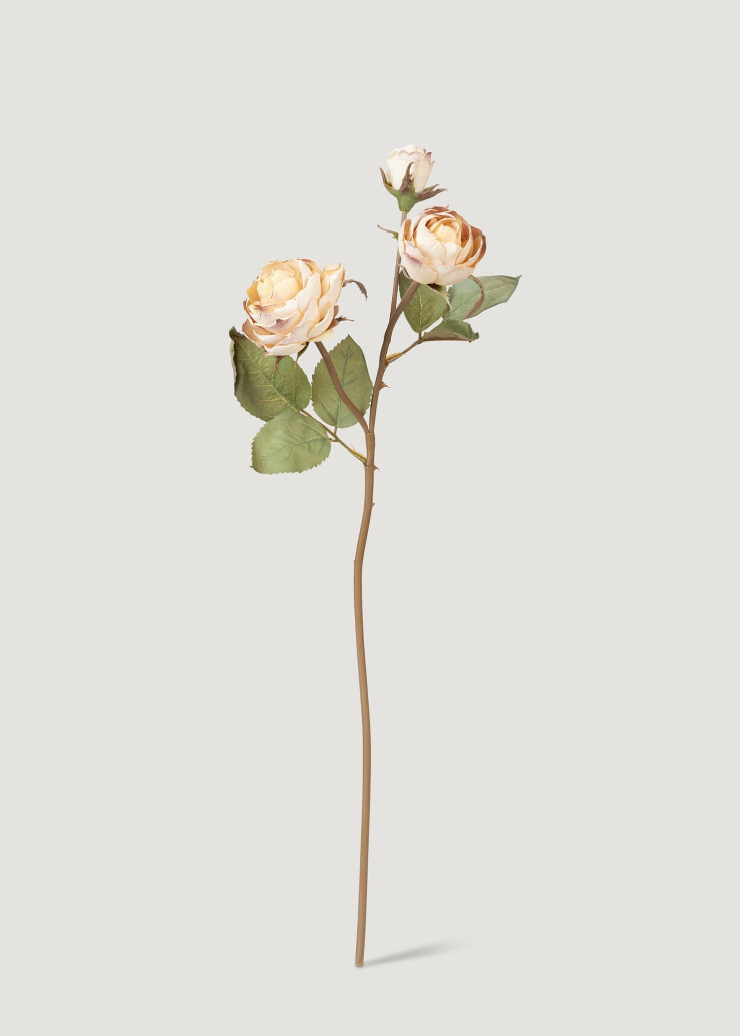 Dried Look Fake Roses in Beige - 21