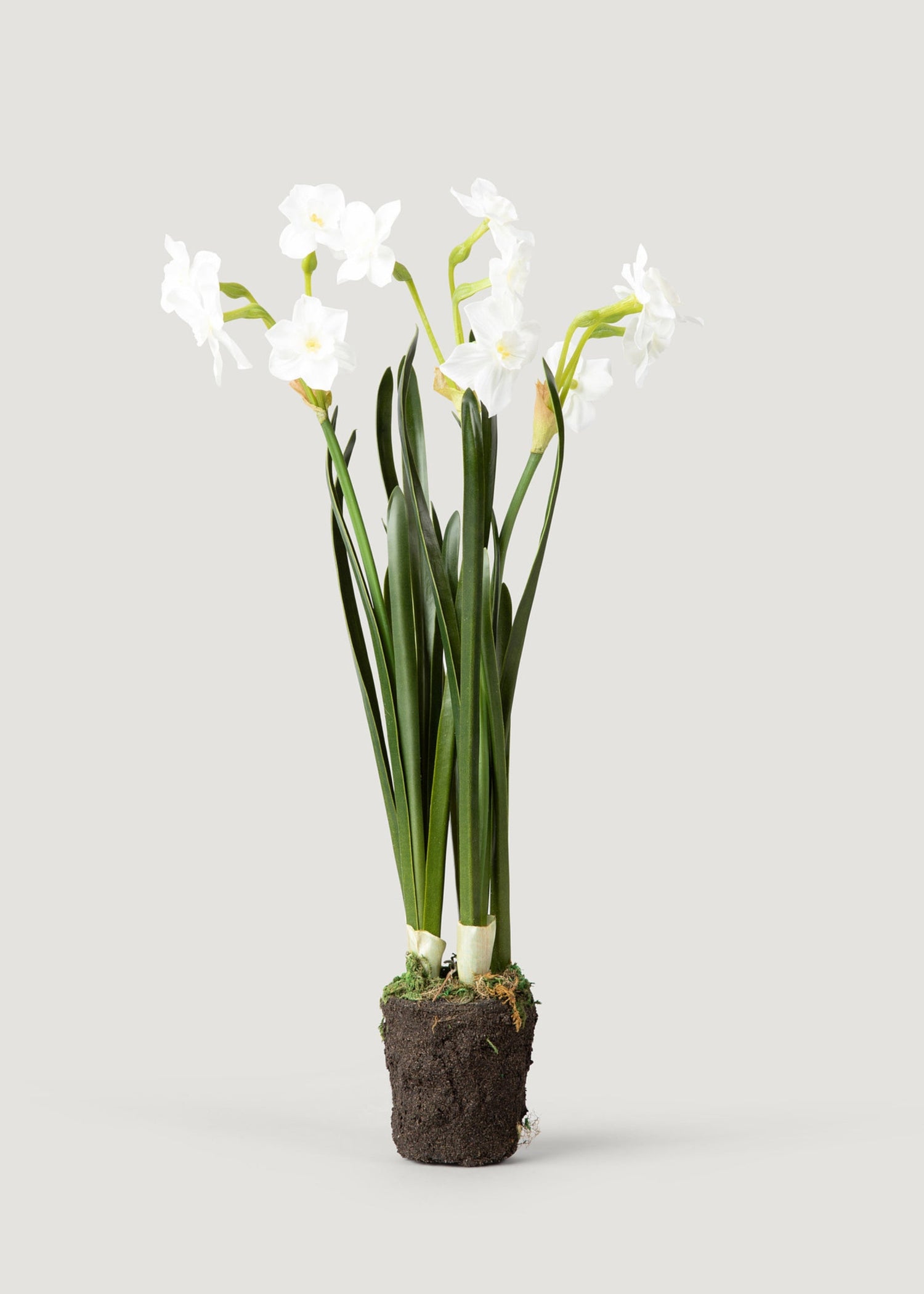 Artificial Spring Paperwhite Drop-In Plant - 17