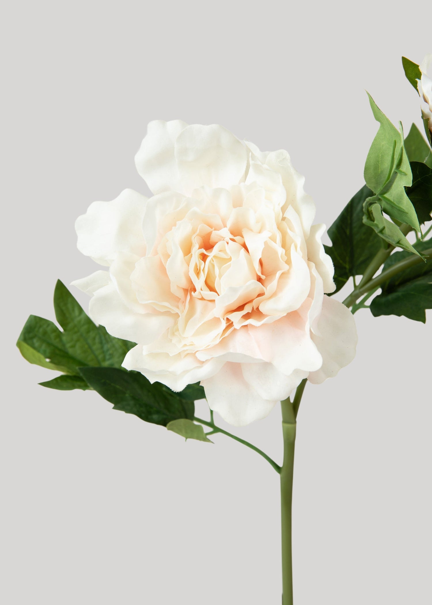 Real Touch Peony Flowers in Soft Pink - 26