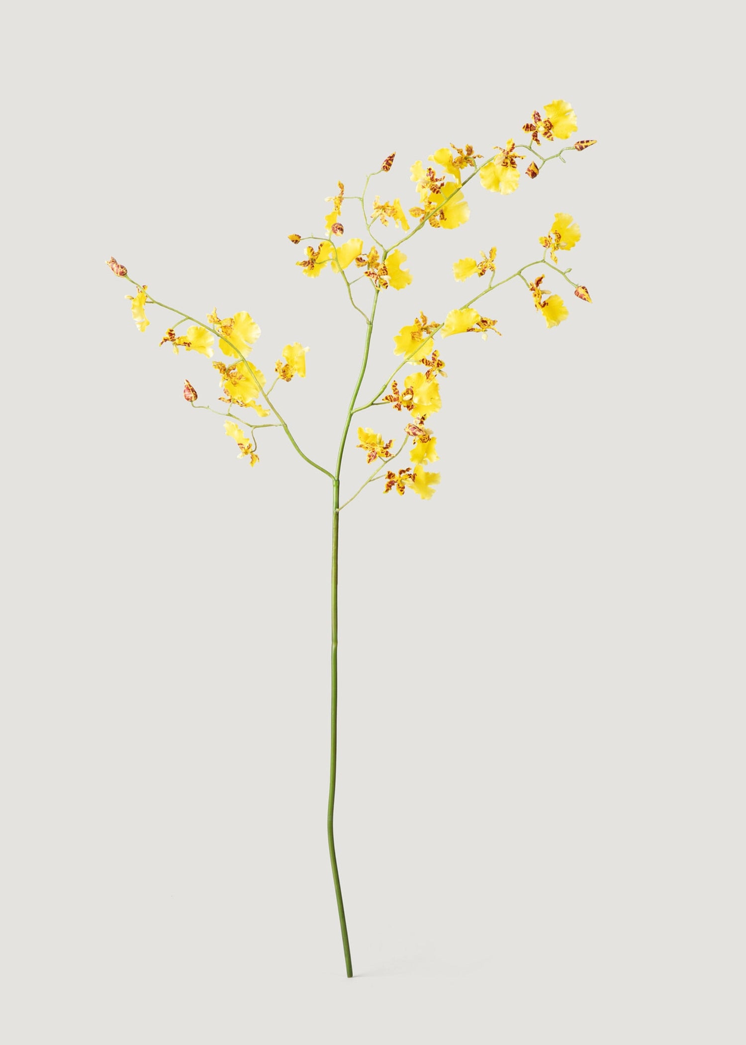 Artificial Dancing Orchids in Yellow - 46