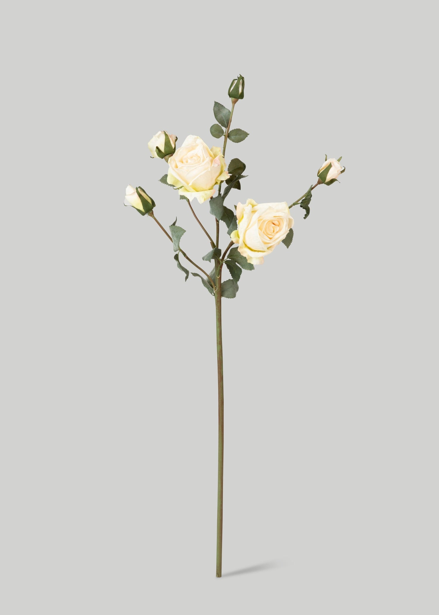 Artificial Roses in Cream - 27.5