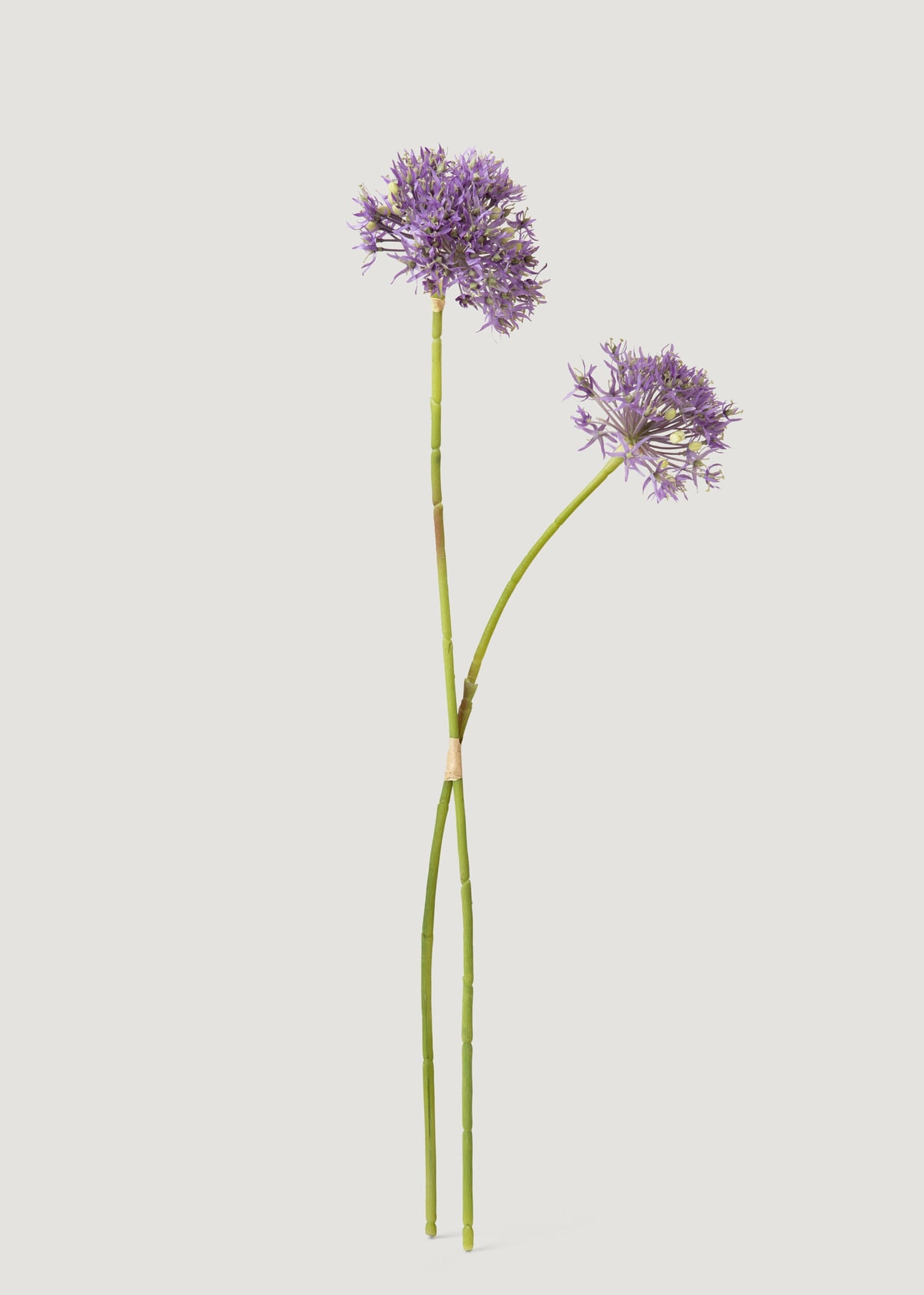 Artificial Allium Wildflower Bundle in Lavender - 30