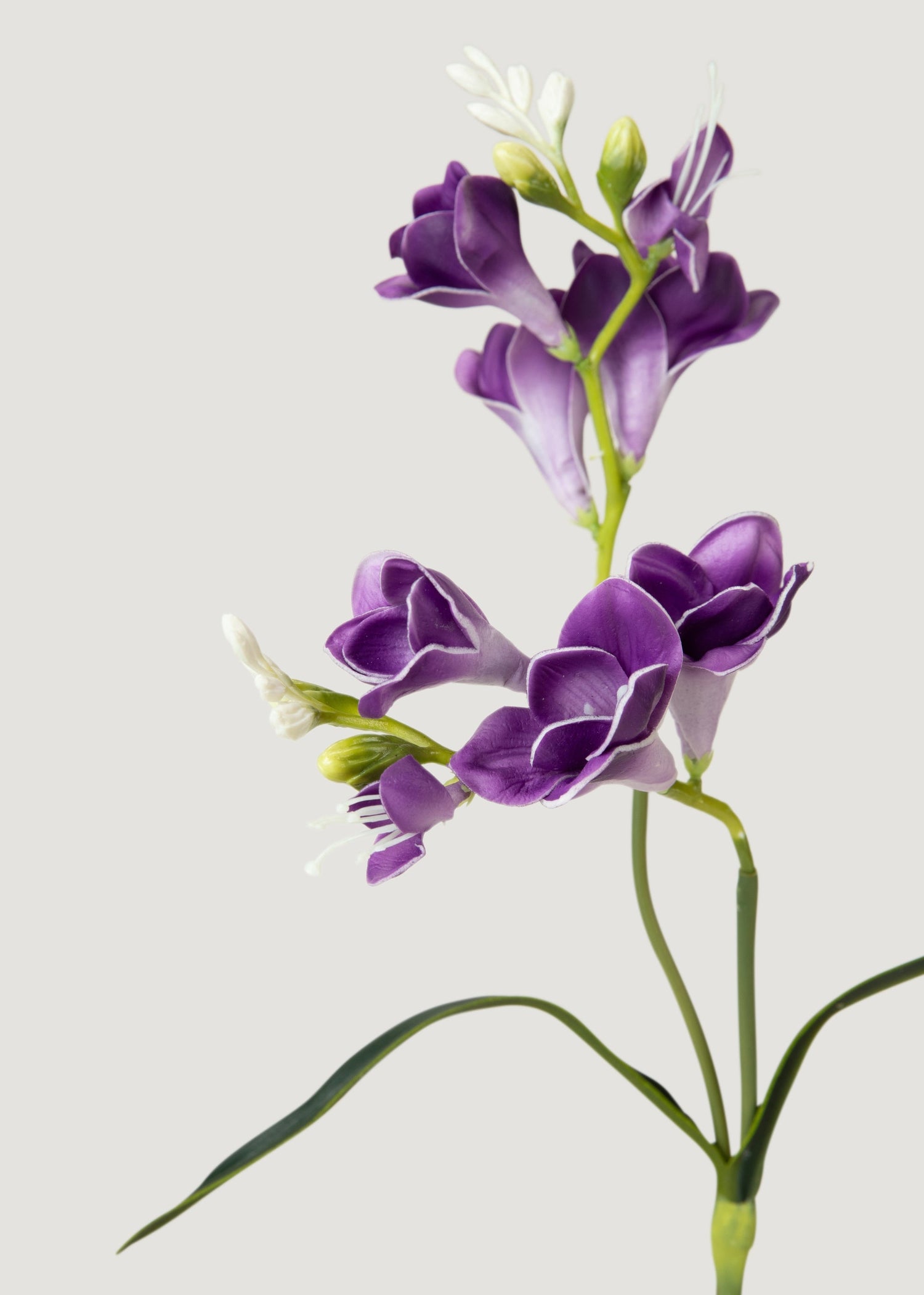 Purple Artificial Real Touch Freesia Flower - 20