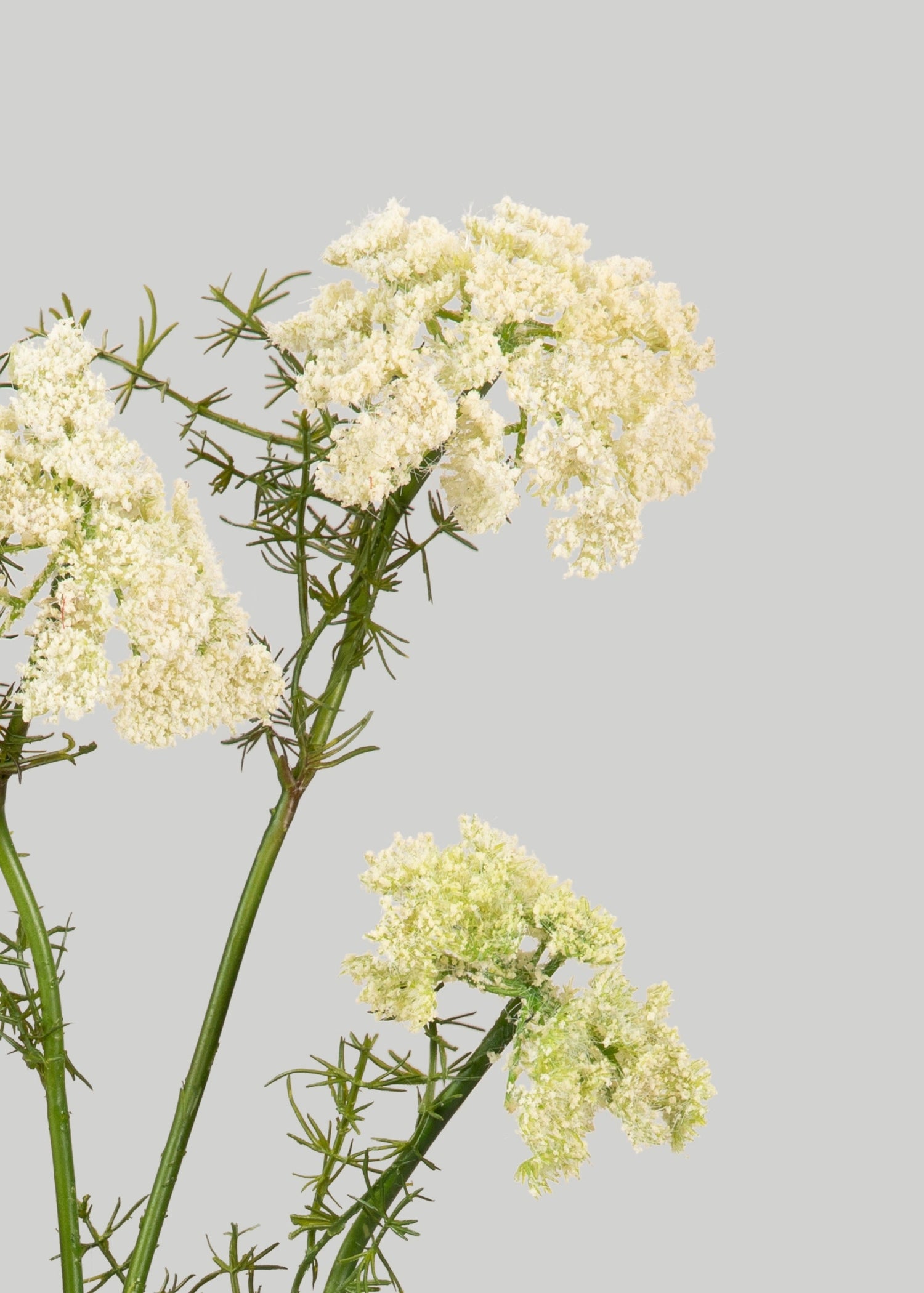 Artificial Dill Wildflower Branch - 33