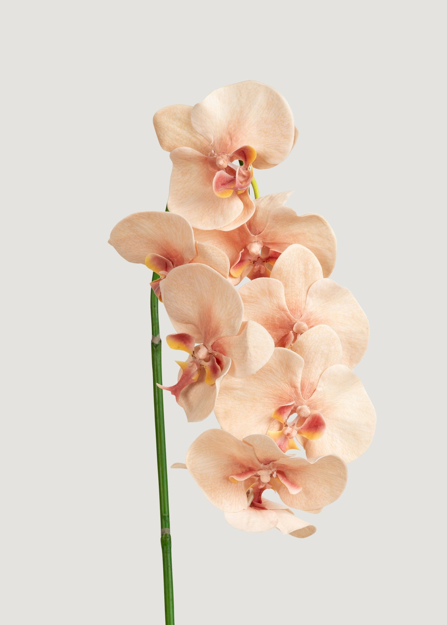 Fake Blooming Phalaenopsis Orchids in Peach Pink - 40