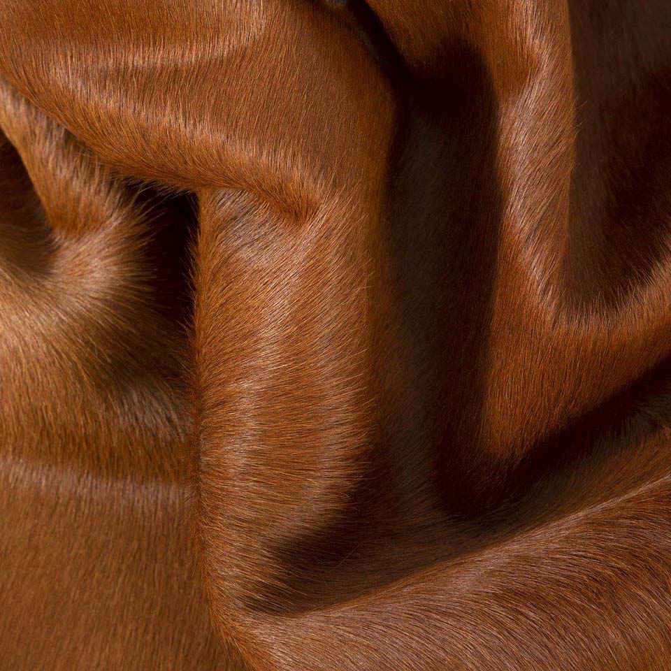 Dark Brown Brazilian Cowhide Rug: LARGE