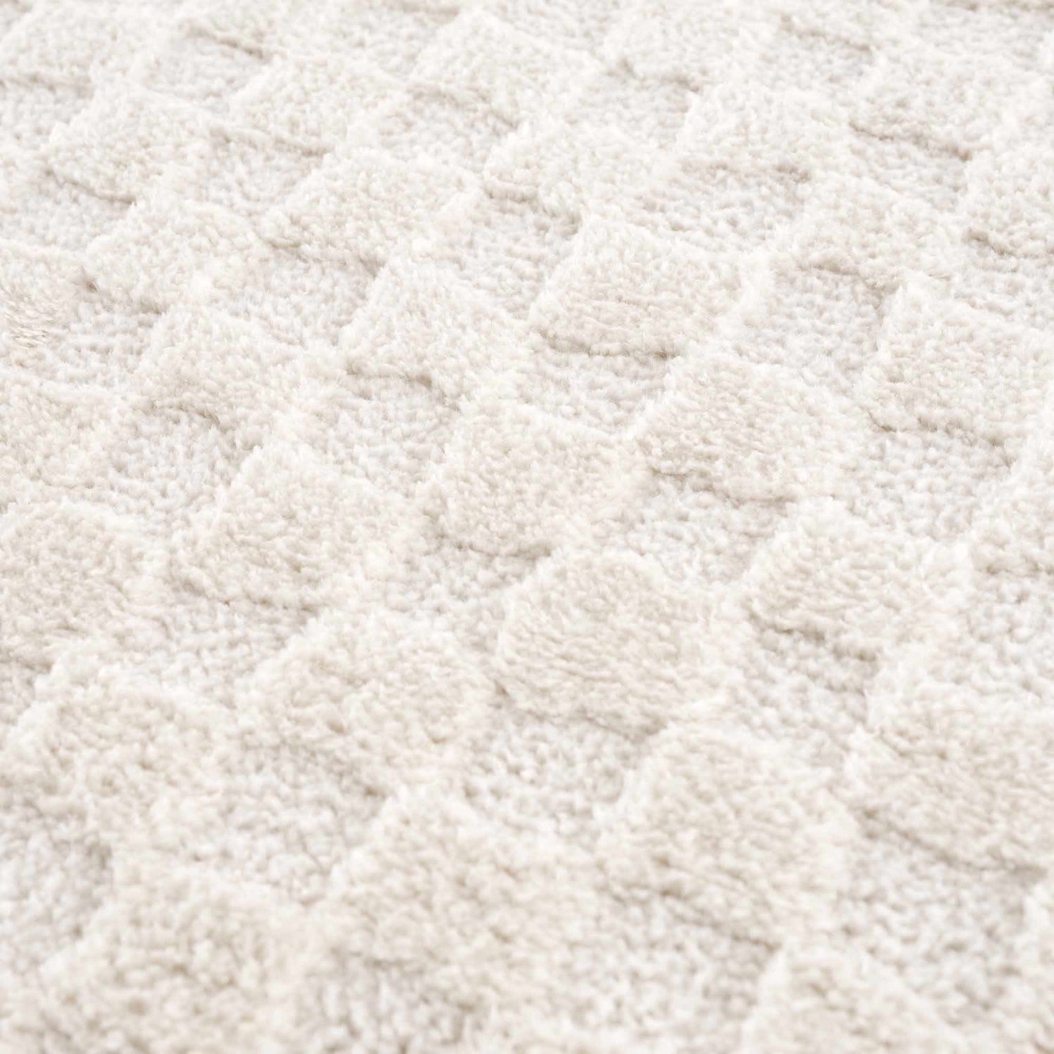 Leryn Ivory Checkered Area Rug