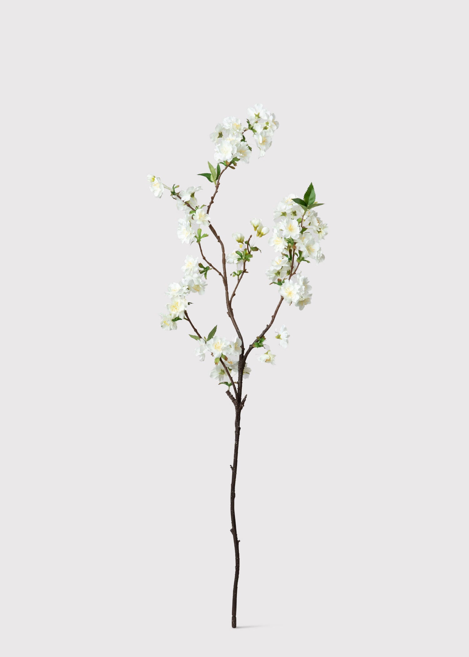 Cream White Artificial Cherry Blossom Branch - 36