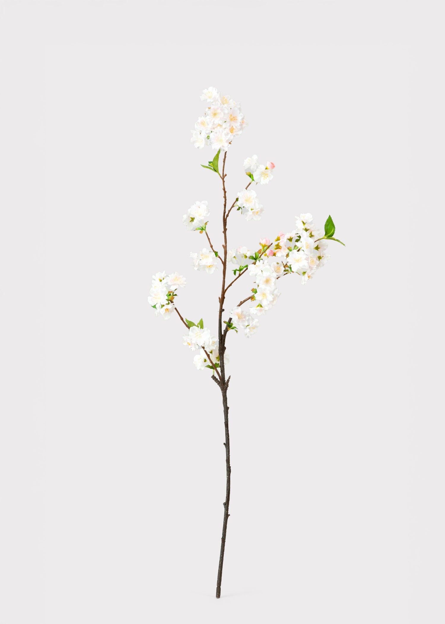 Artificial Cherry Blossom Branch in Blush - 36