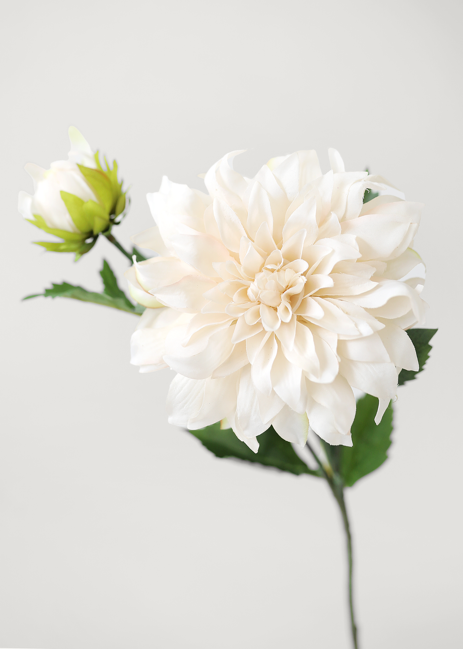 Ivory Artificial Dahlia Flower - 19.5