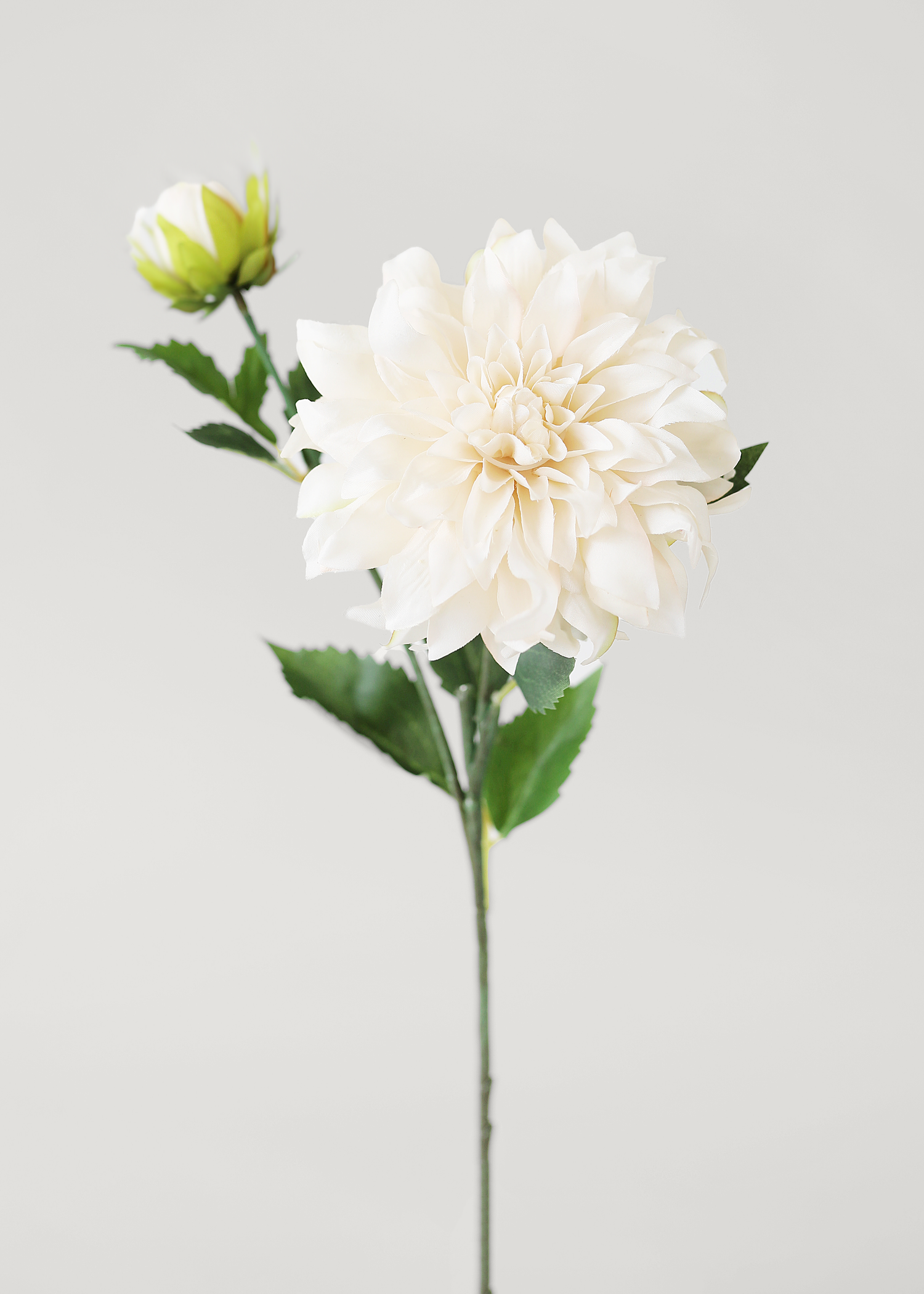 Ivory Artificial Dahlia Flower - 19.5