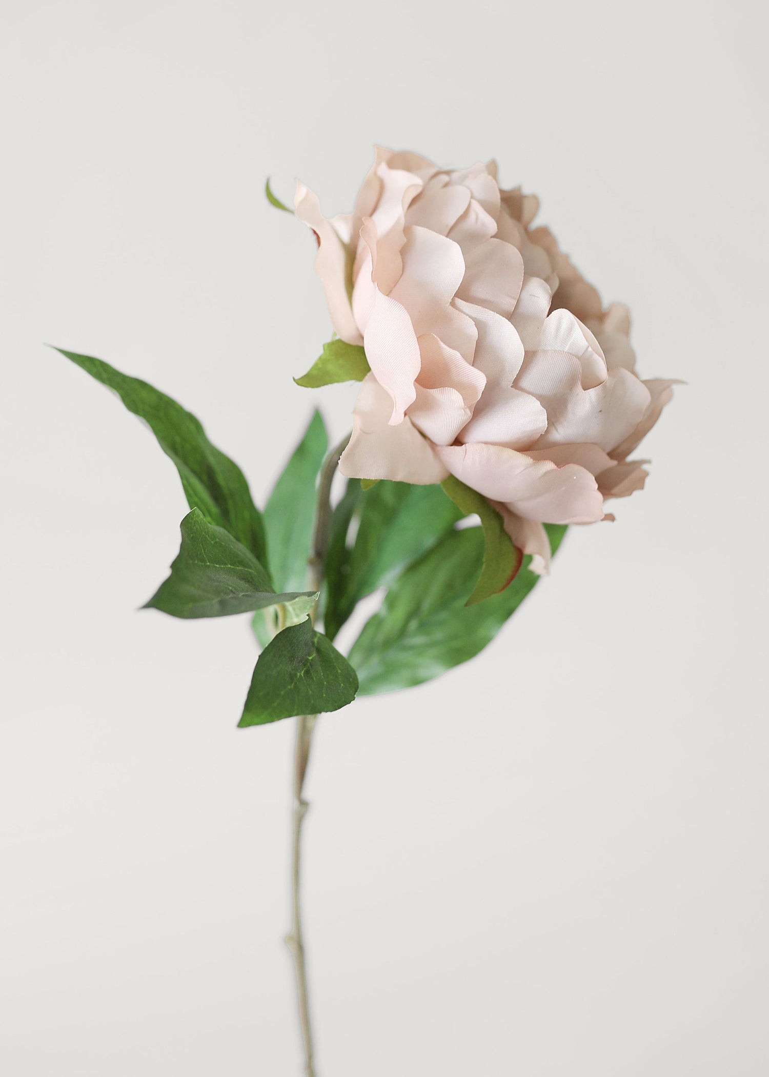 Artificial Peony Flower in Mauve Beige - 18.5