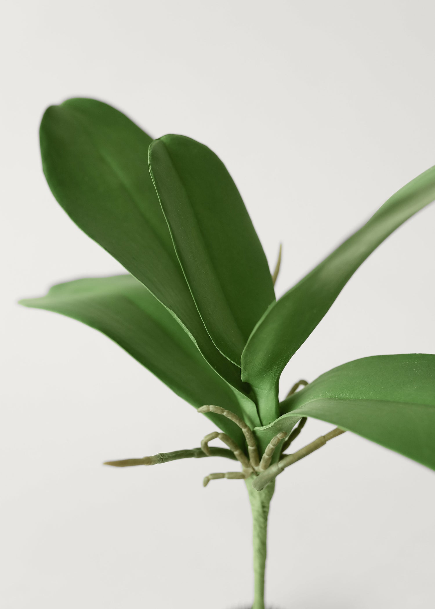 Artificial Phalaenopsis Orchid Leaf Plant - 15