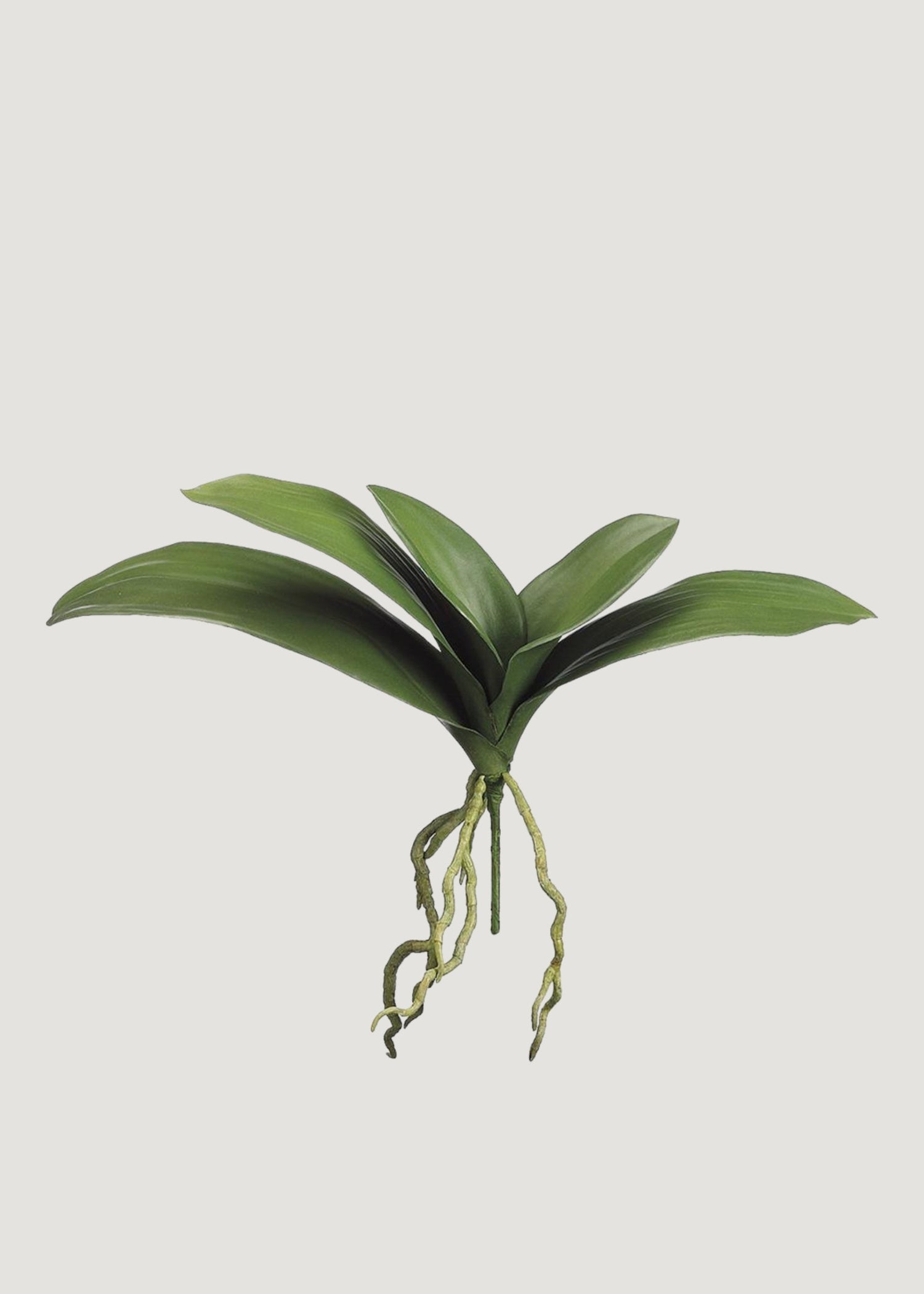 Artificial Phalaenopsis Orchid Leaf Plant - 15
