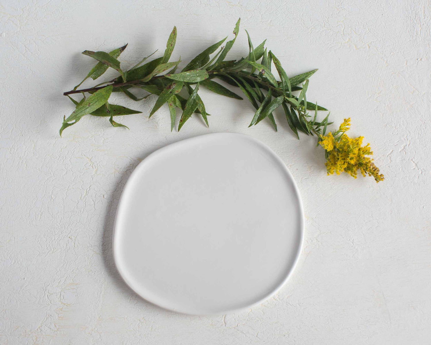 Ripple Salad Plate