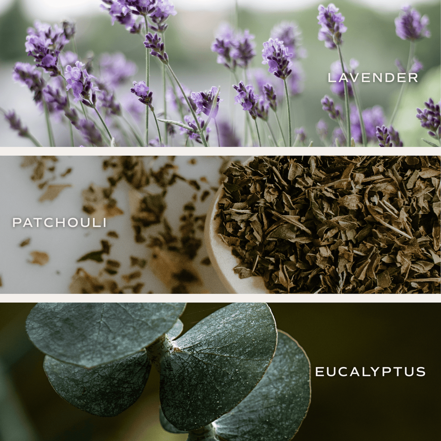 Calm and Comfort Clear Reed Diffuser (Self Care Lavender and Eucalyptus)