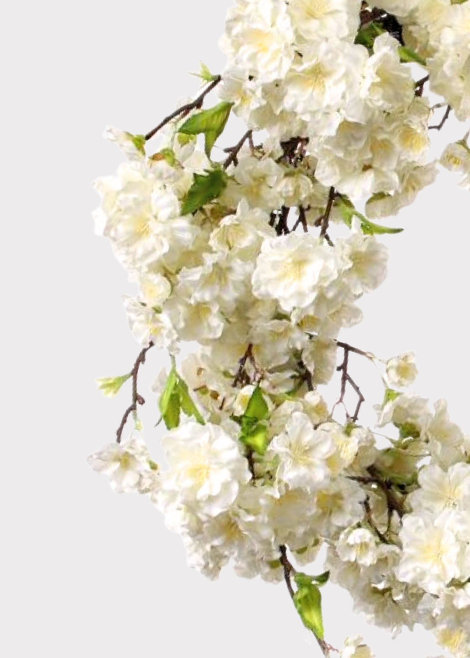Deluxe Cream Artificial Cherry Blossom Flower Wreath - 20