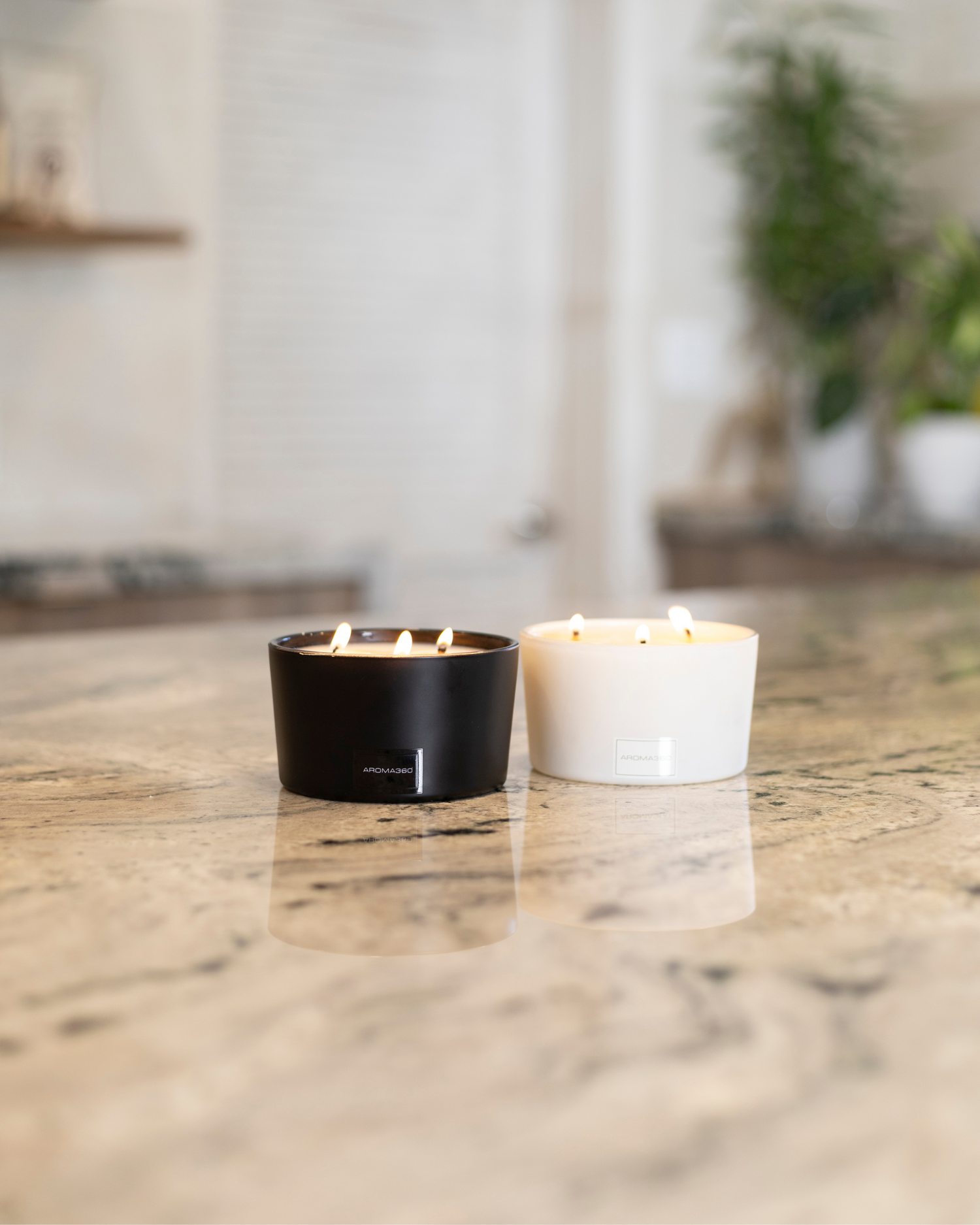Iris 3-Wick Candle