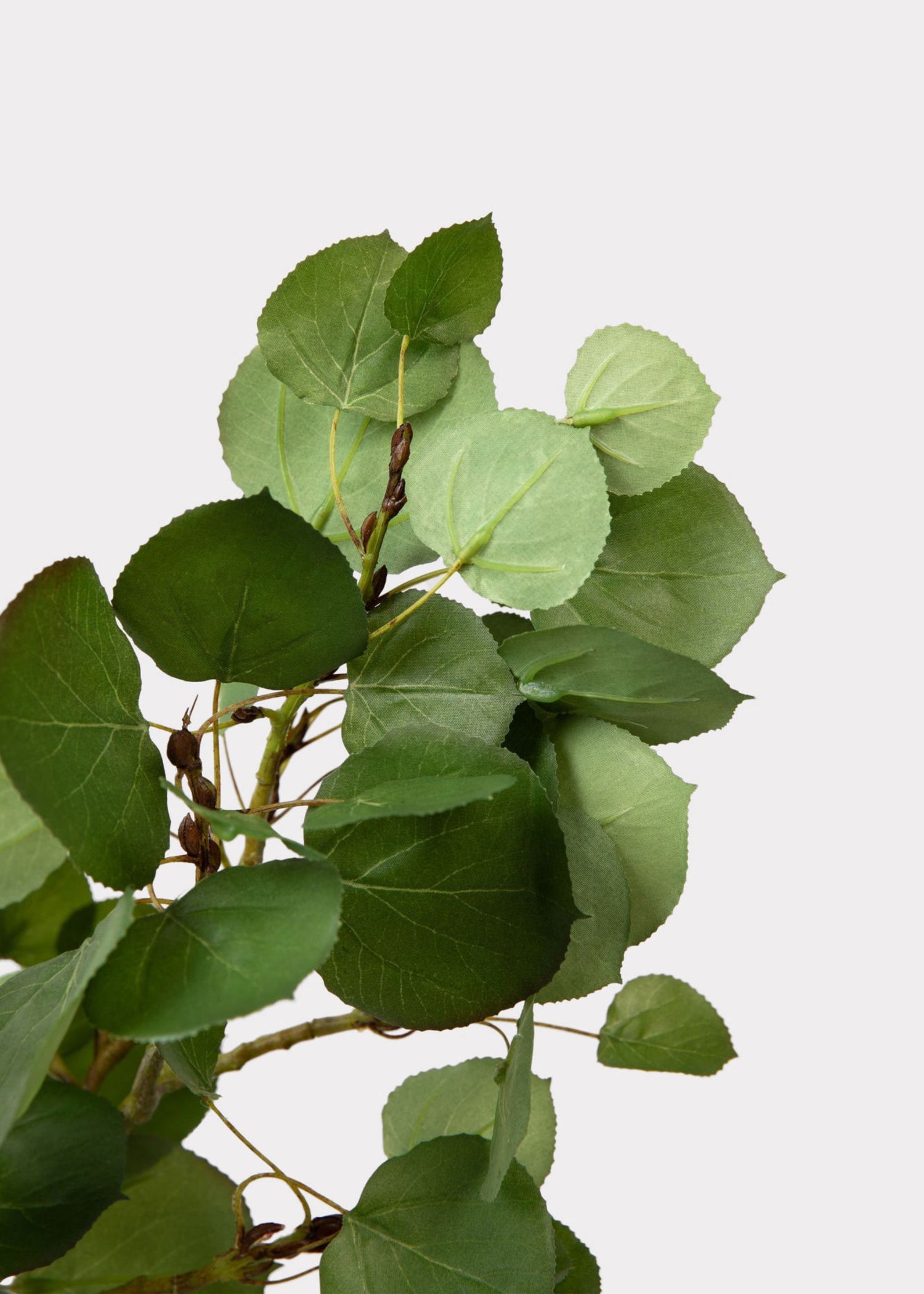 Premium Tall Artificial Aspen Branch - 51