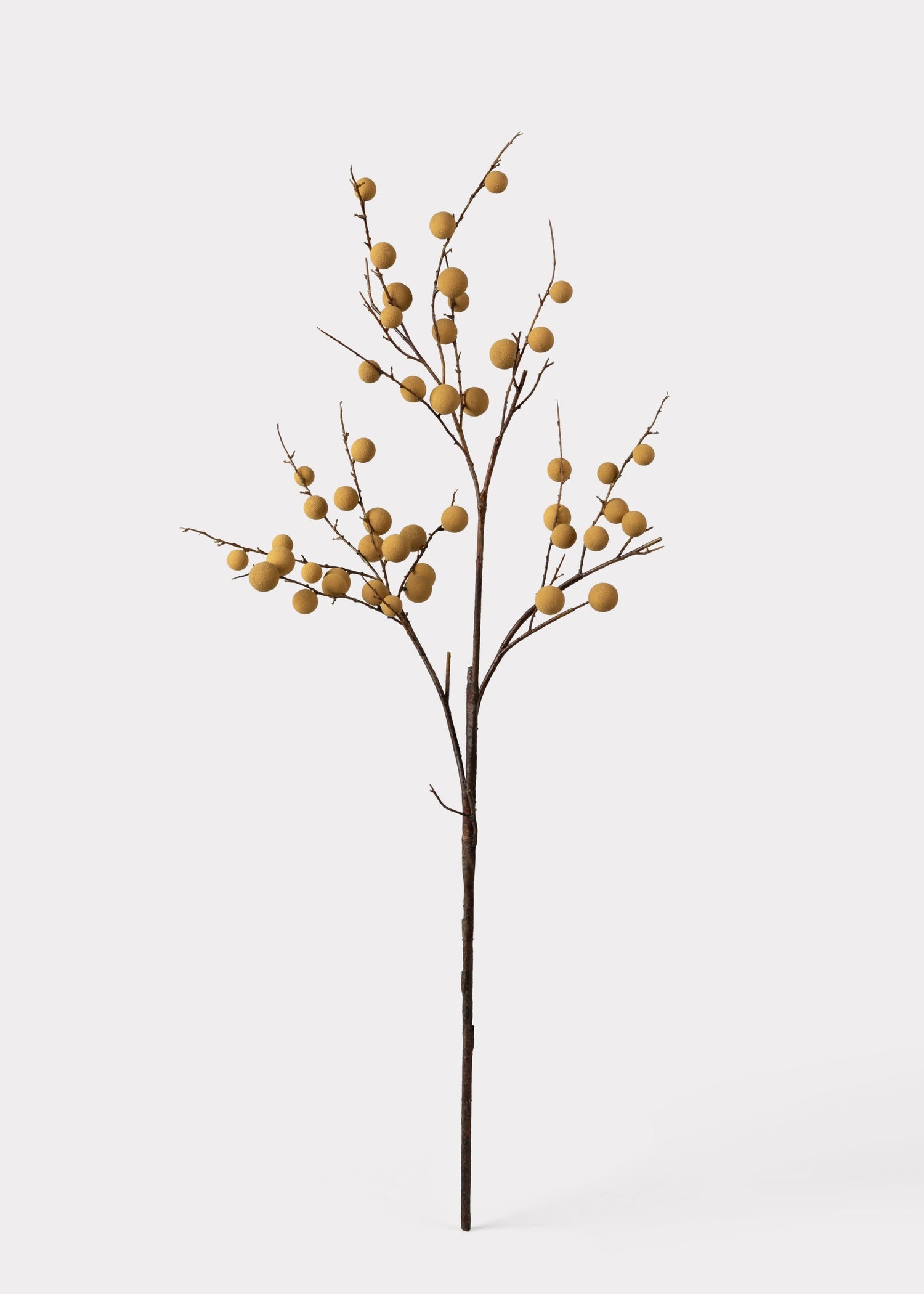 Artificial Longan Branch - 39