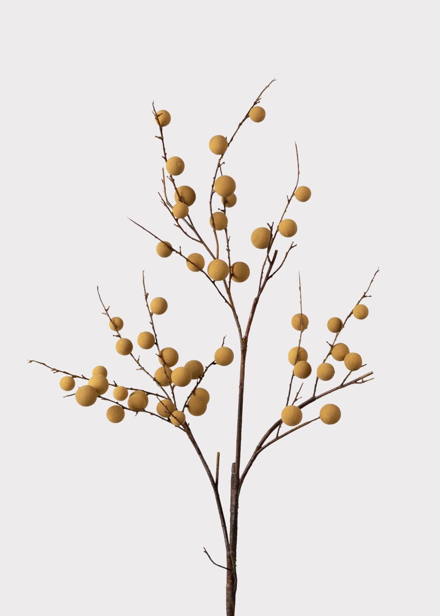 Artificial Longan Branch - 39