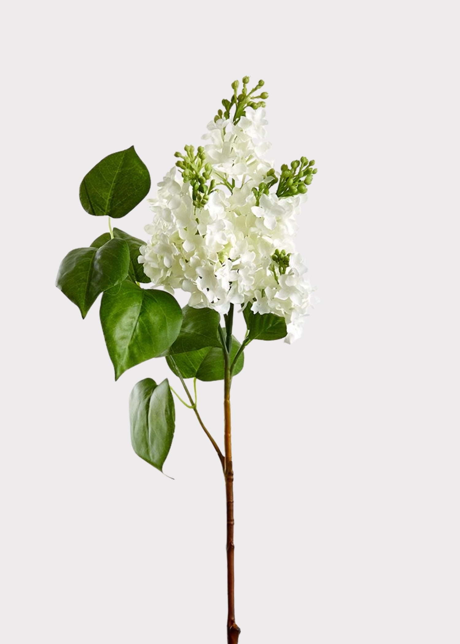 Artificial Blooming Lilac Branch in White - 26