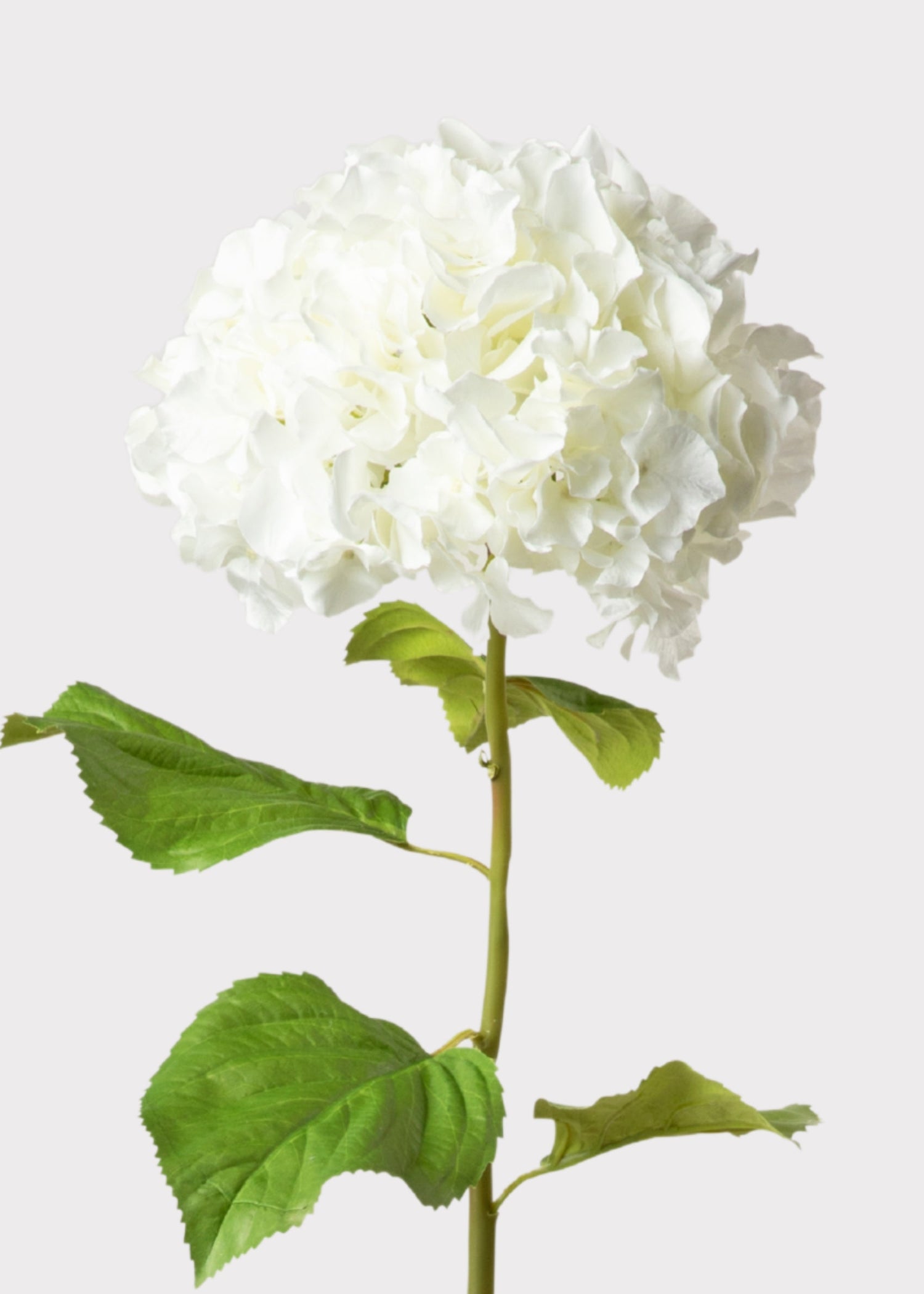 Tall Hydrangea Faux Flower in White - 45