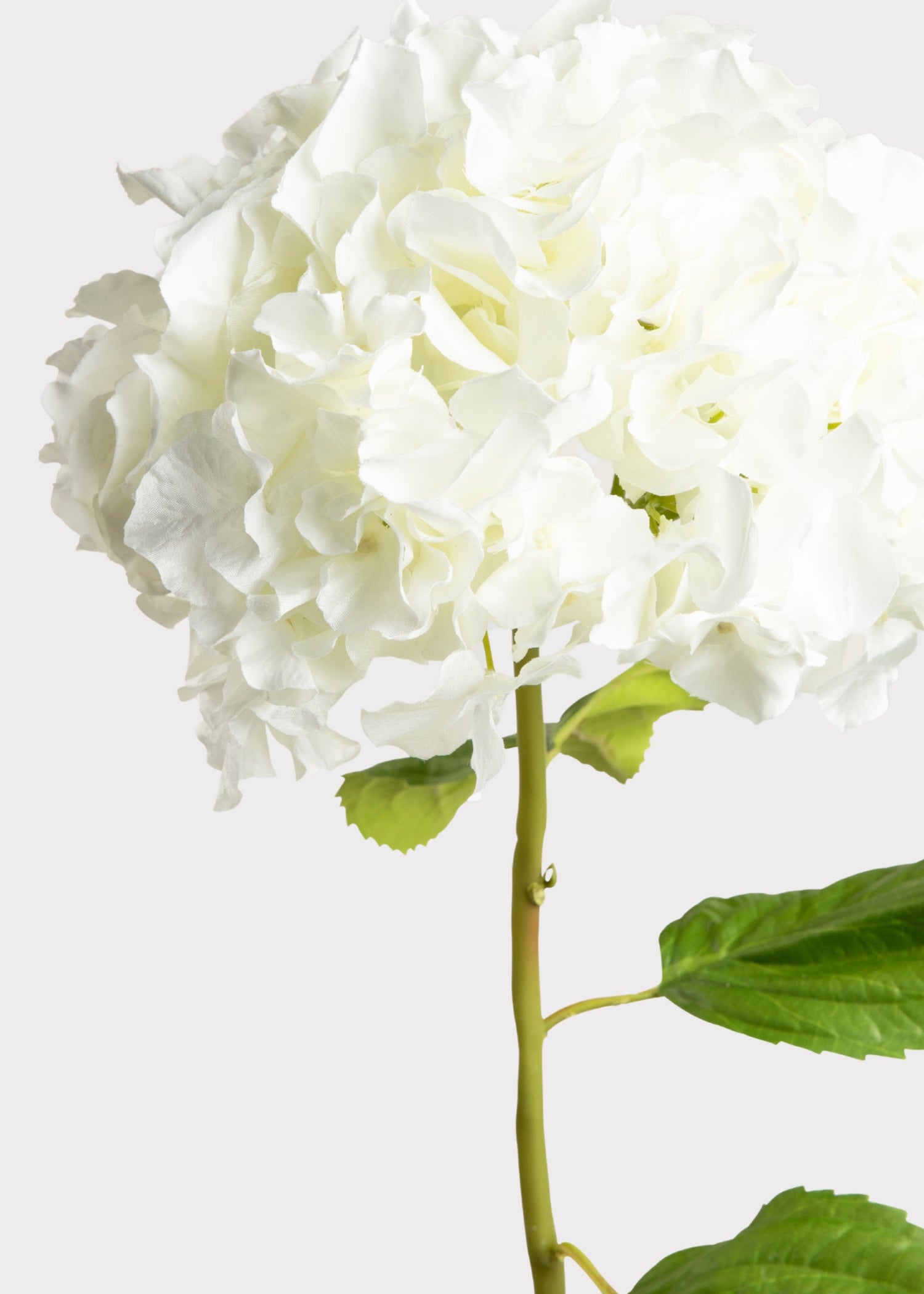 Tall Hydrangea Faux Flower in White - 45