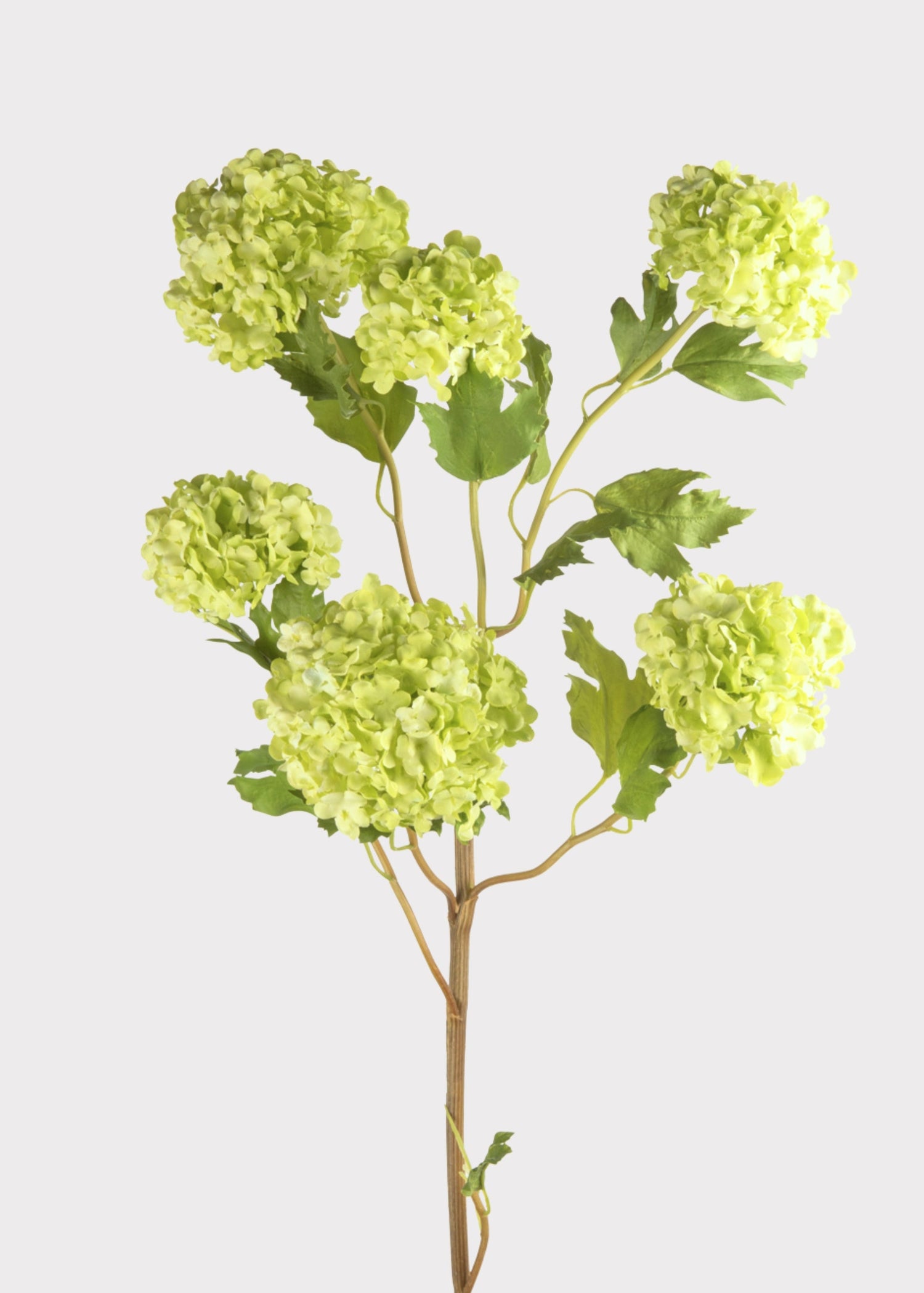 Faux Flowers Snowball Flower Stem in Green - 43.5
